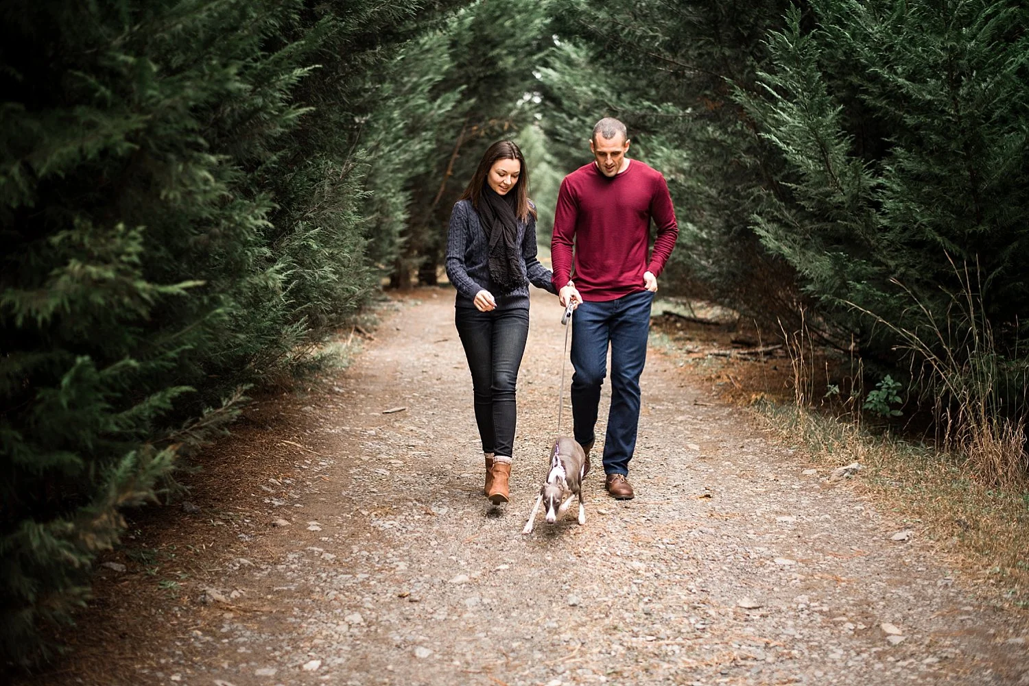 Couple walking Italian Greyhound in trees Woodstock, GA