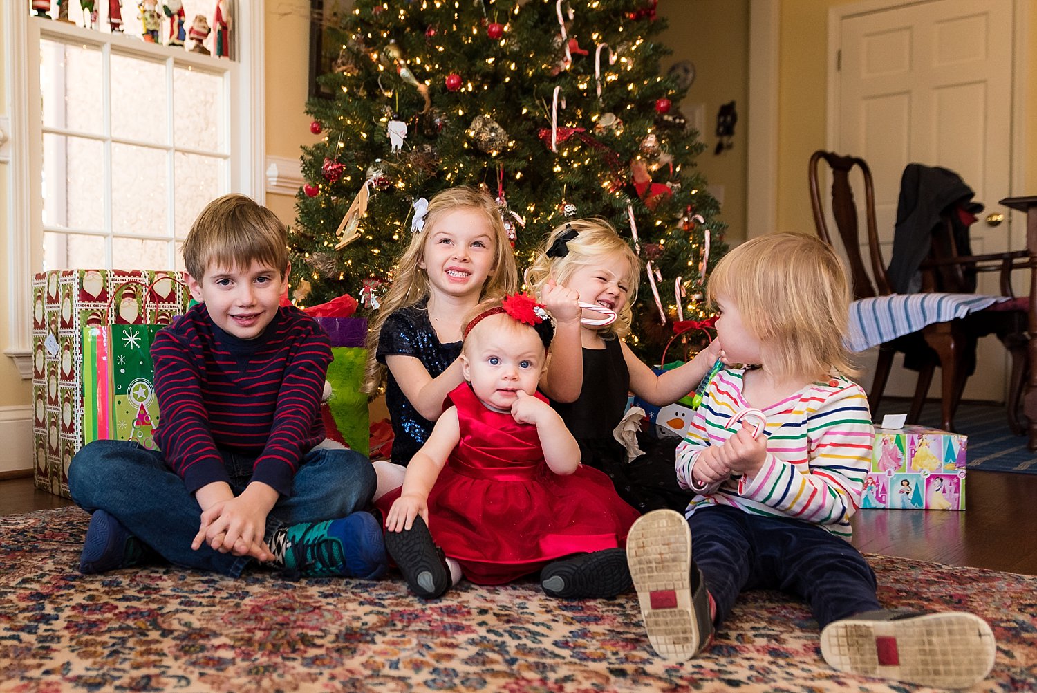 6 grandkids sitting in front of Christmas tree