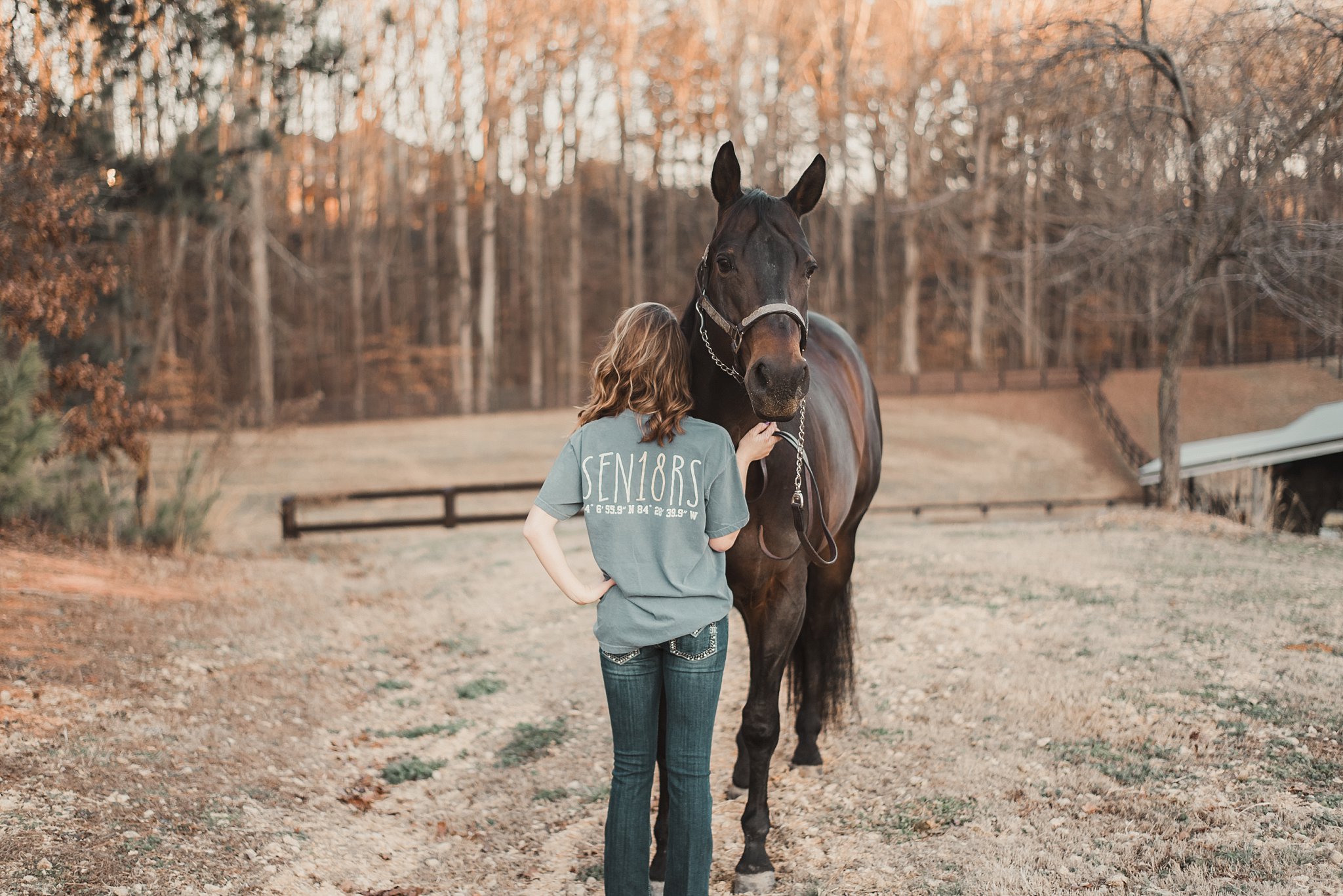 horse looking over girls shoulder