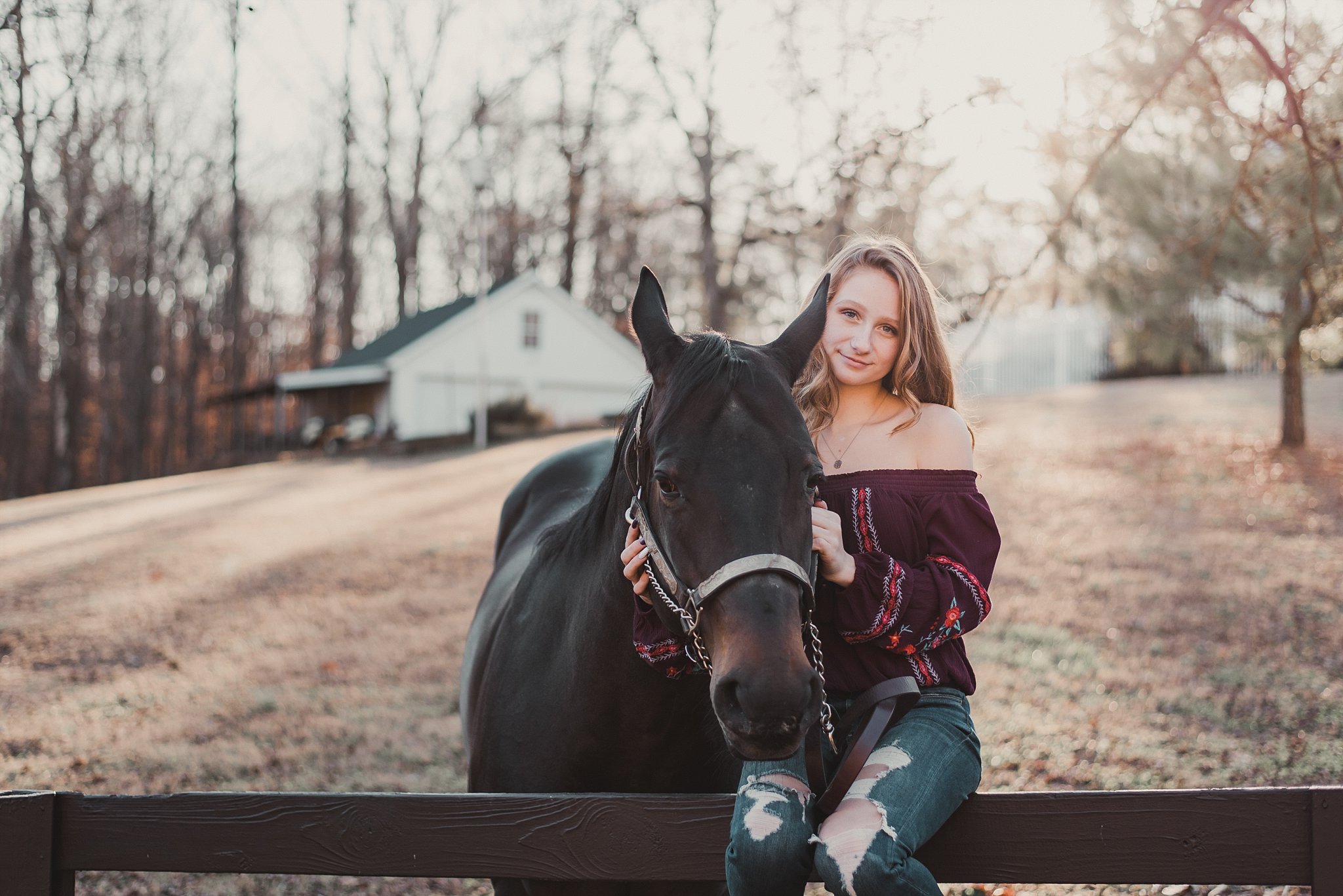 girl sitting on fence with horse