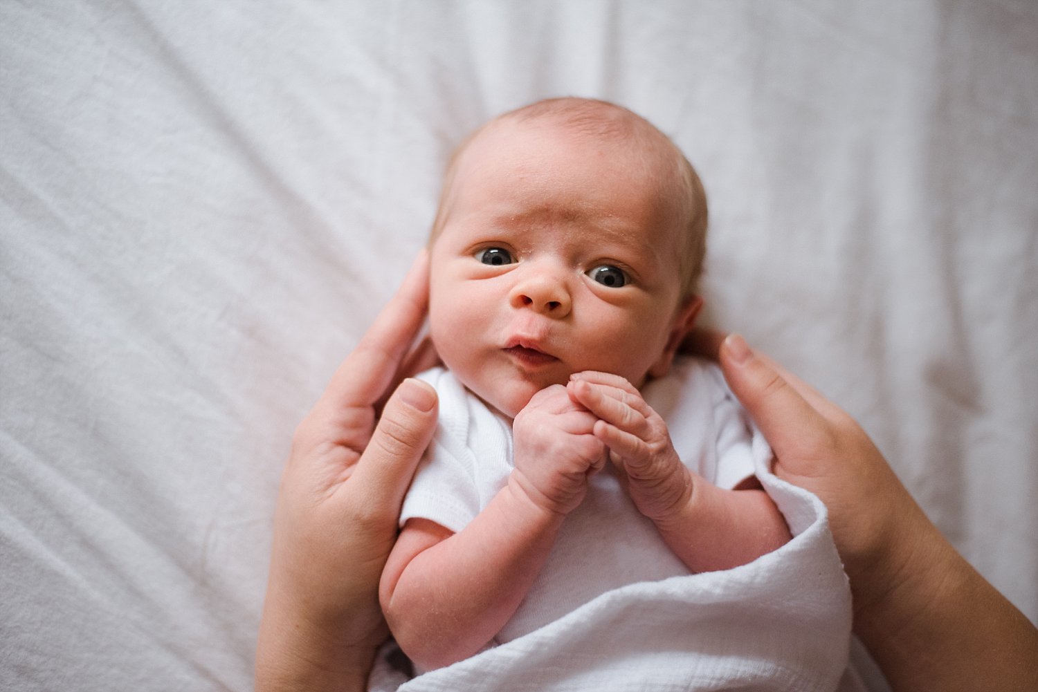 newborn baby boy holding hands