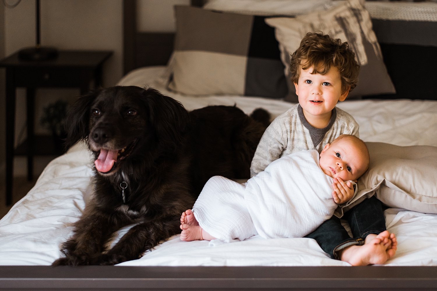 toddler newborn baby and dog on bed