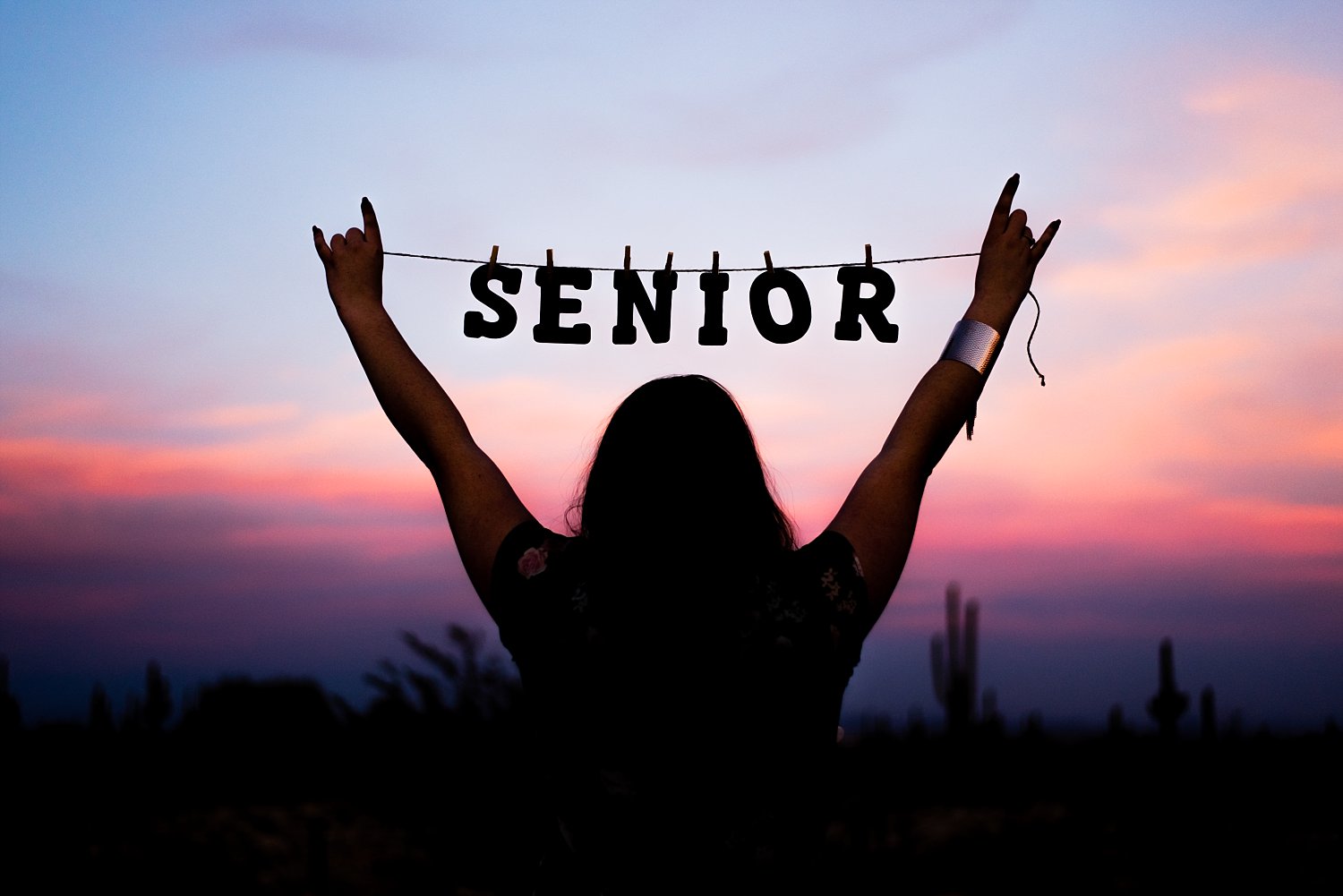 Senior girl silhouette with Senior banner