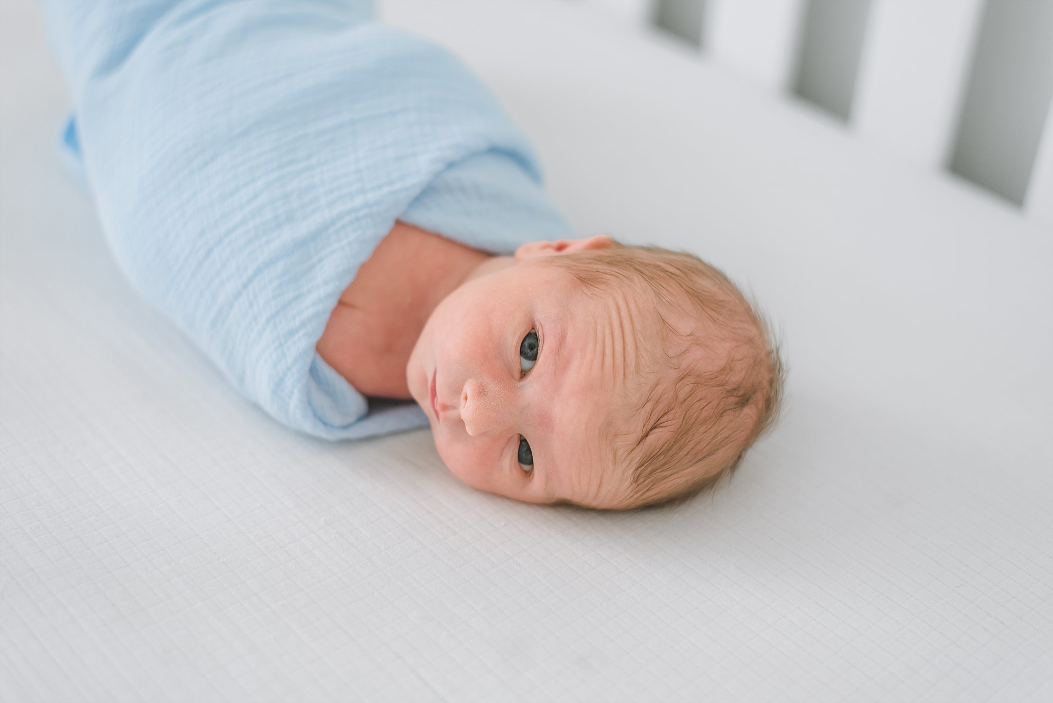 newborn baby boy swaddled in blue looking up