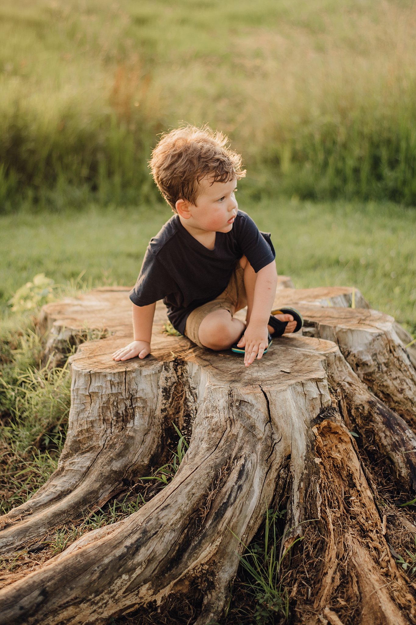 toddler boy on tree stump Lake Acworth Cauble Park