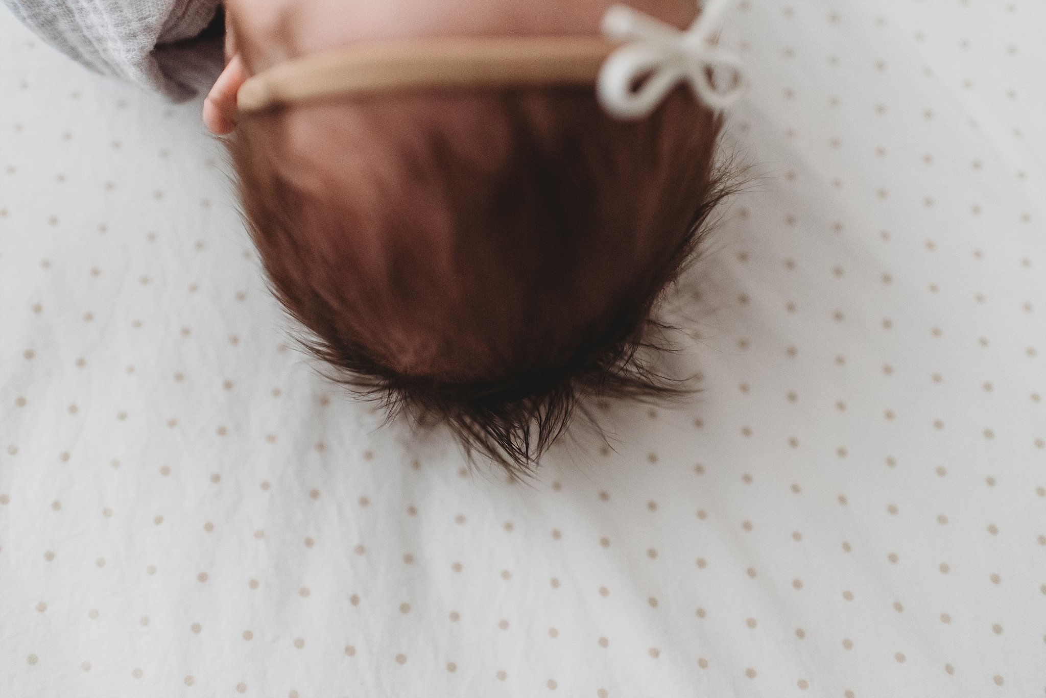 close up of newborn baby girls hair with bow