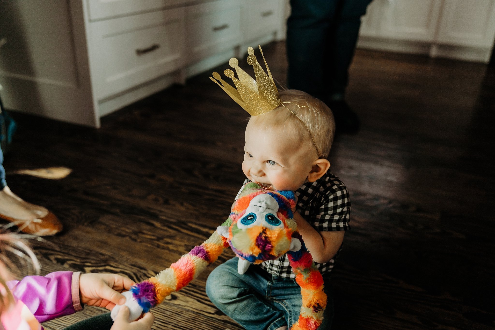 One year old boy with stuffed monkey smiling at first birthday party