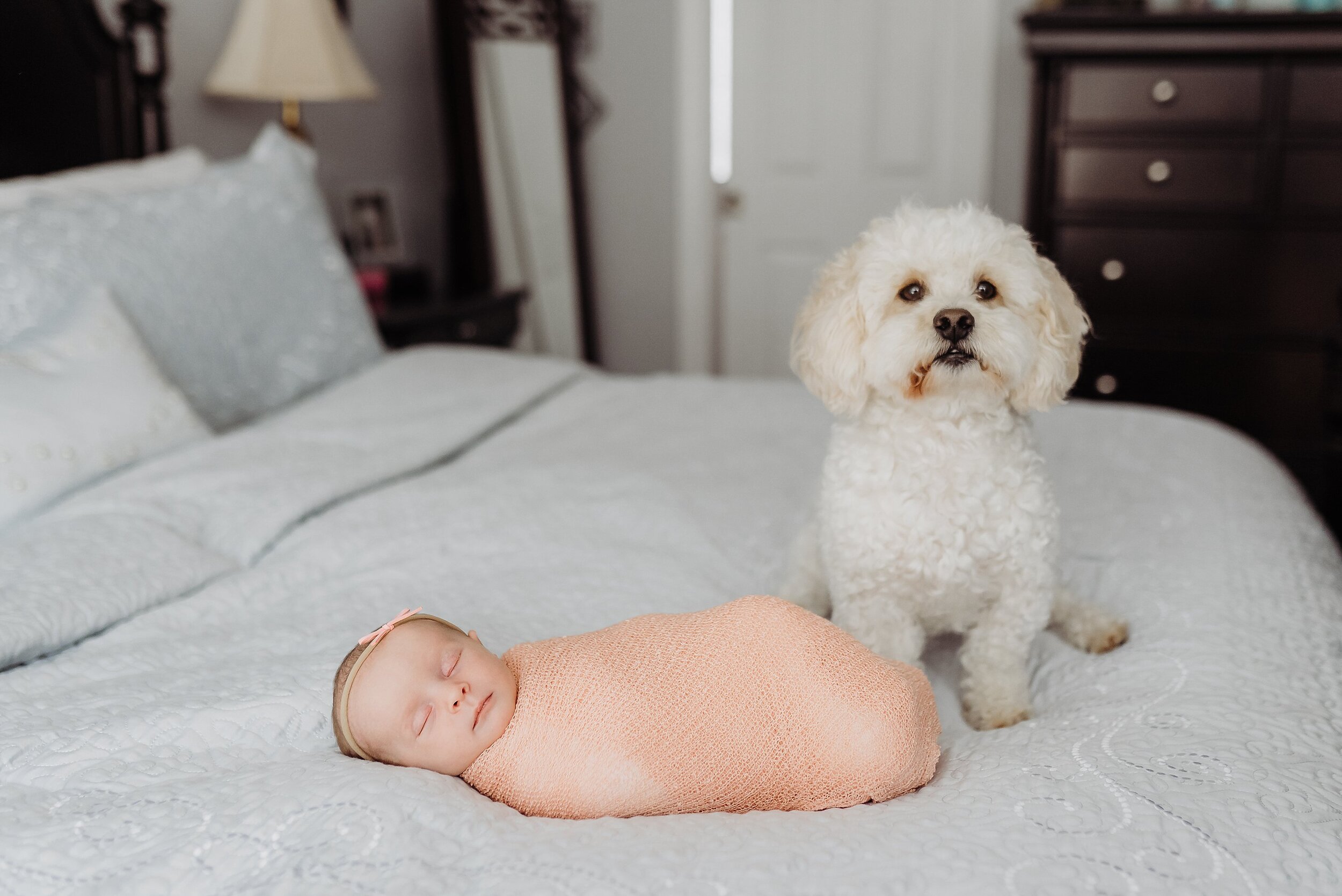 baby on bed swaddled with dog near at in-home newborn session in Atlanta, GA