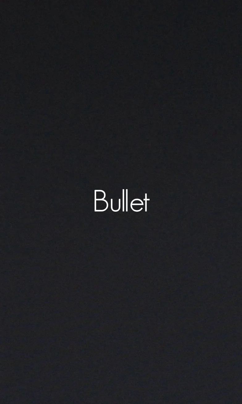 Bullet.jpg