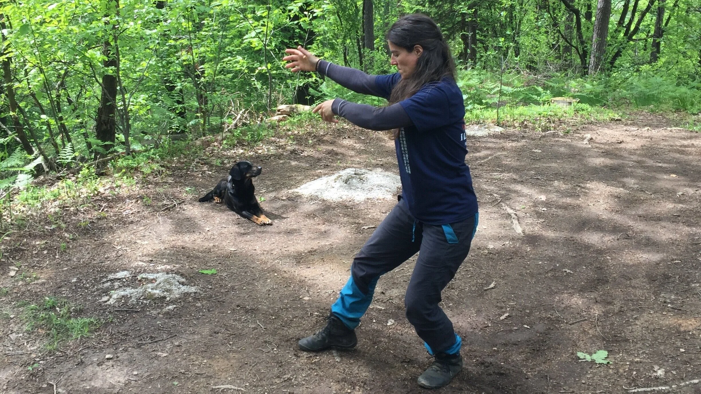 ŽENSKI (YIN) PRINCIP BOJEVANJA (9-12H, LJUBLJANA)