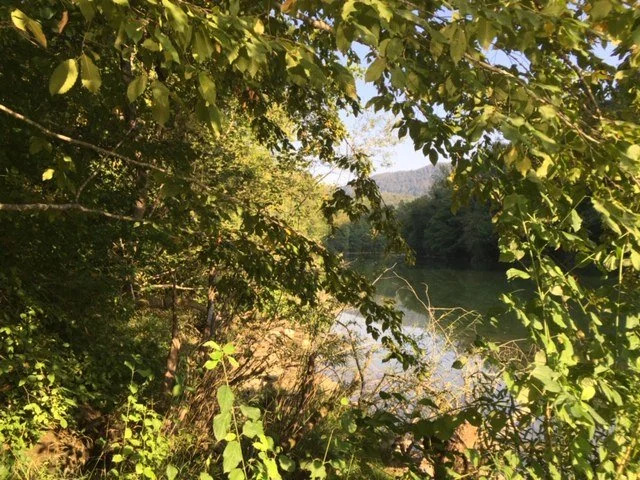 QIGONG TABOR NA KOLPI 2023