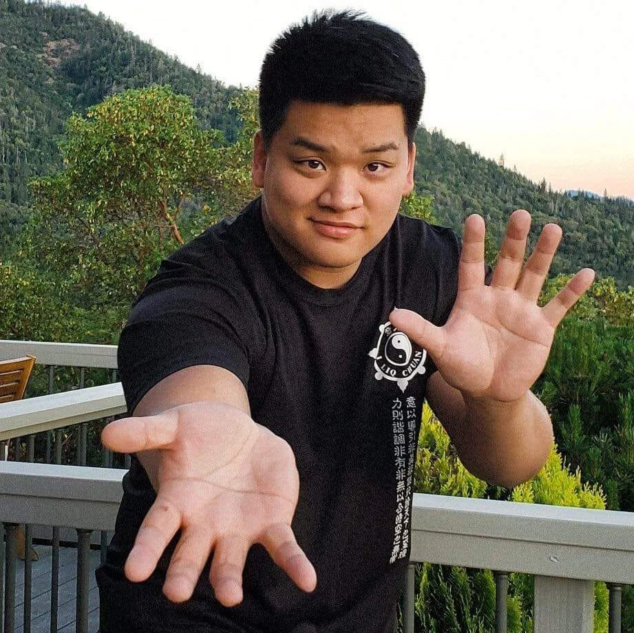 POINT OF CONTACT WITH MASTER HSIN CHIN (LJUBLJANA)