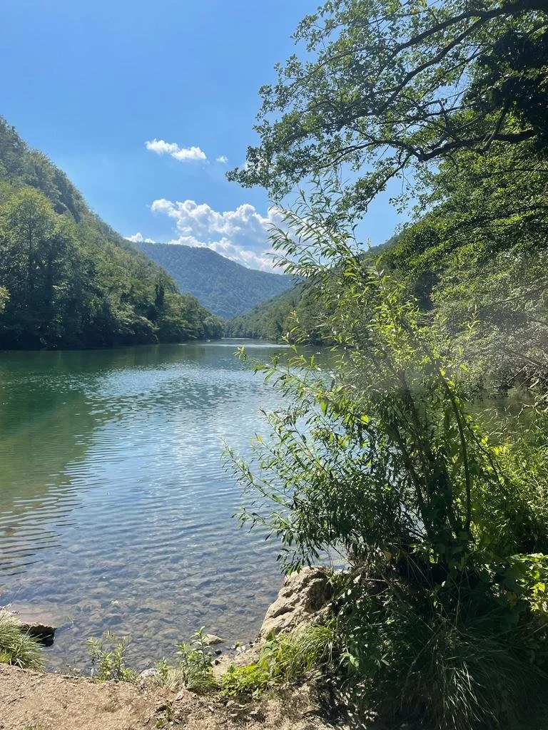 QIGONG TABOR KOLPA 2025 