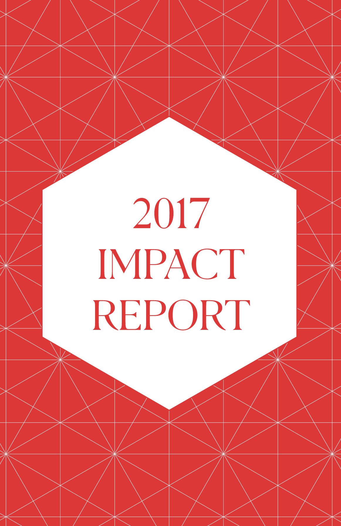 Rapporto d'impatto 2017