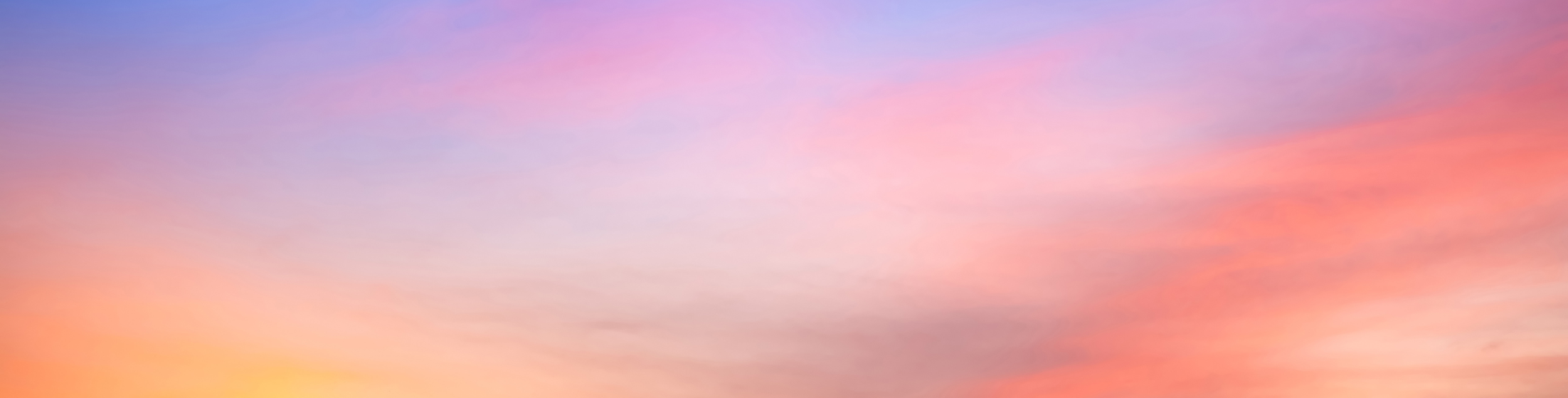 RH 2025_web hero.png