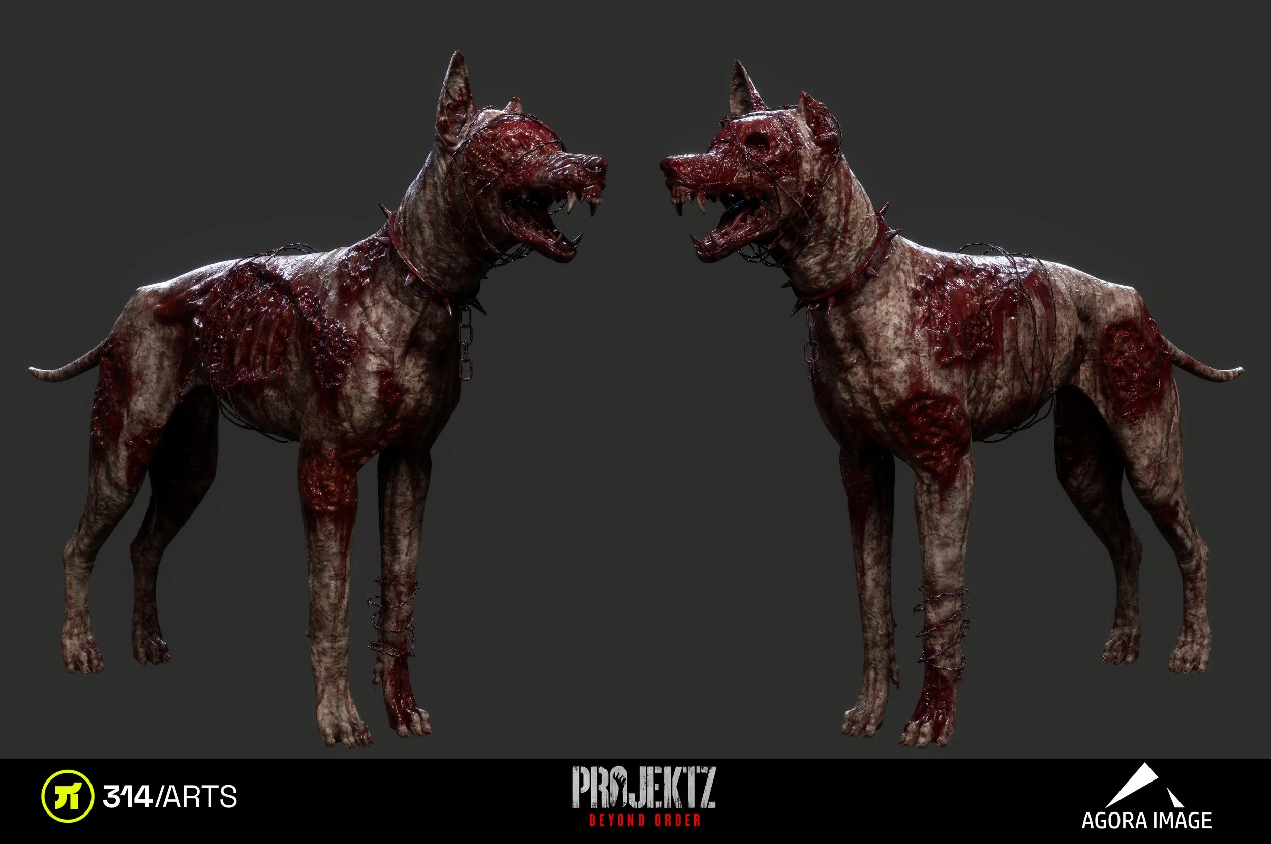 Dog3.jpg