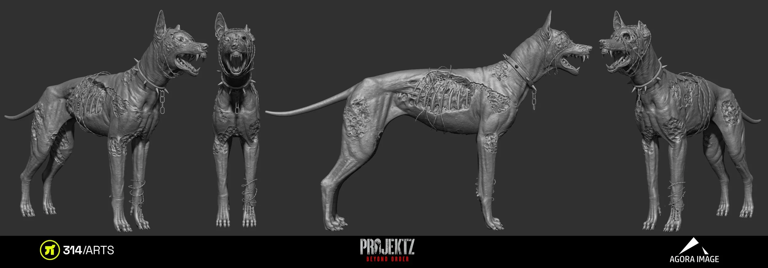 DogZ.jpg