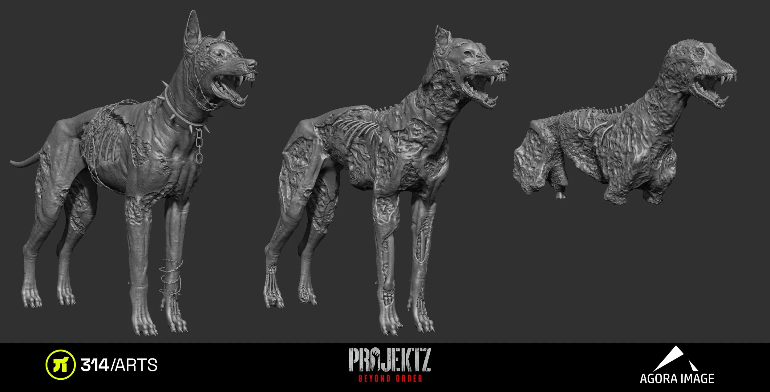 DogZ2.jpg