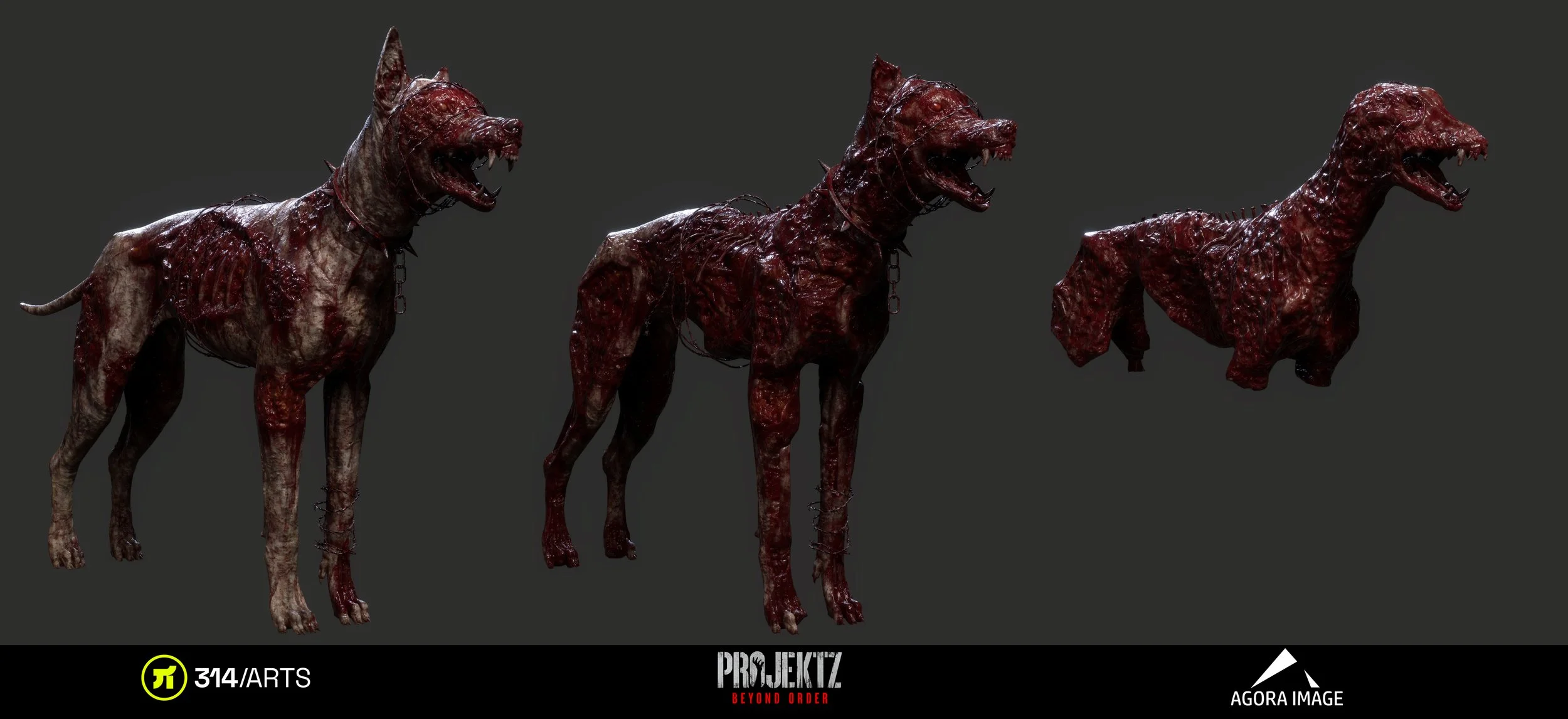 Dog4.jpg