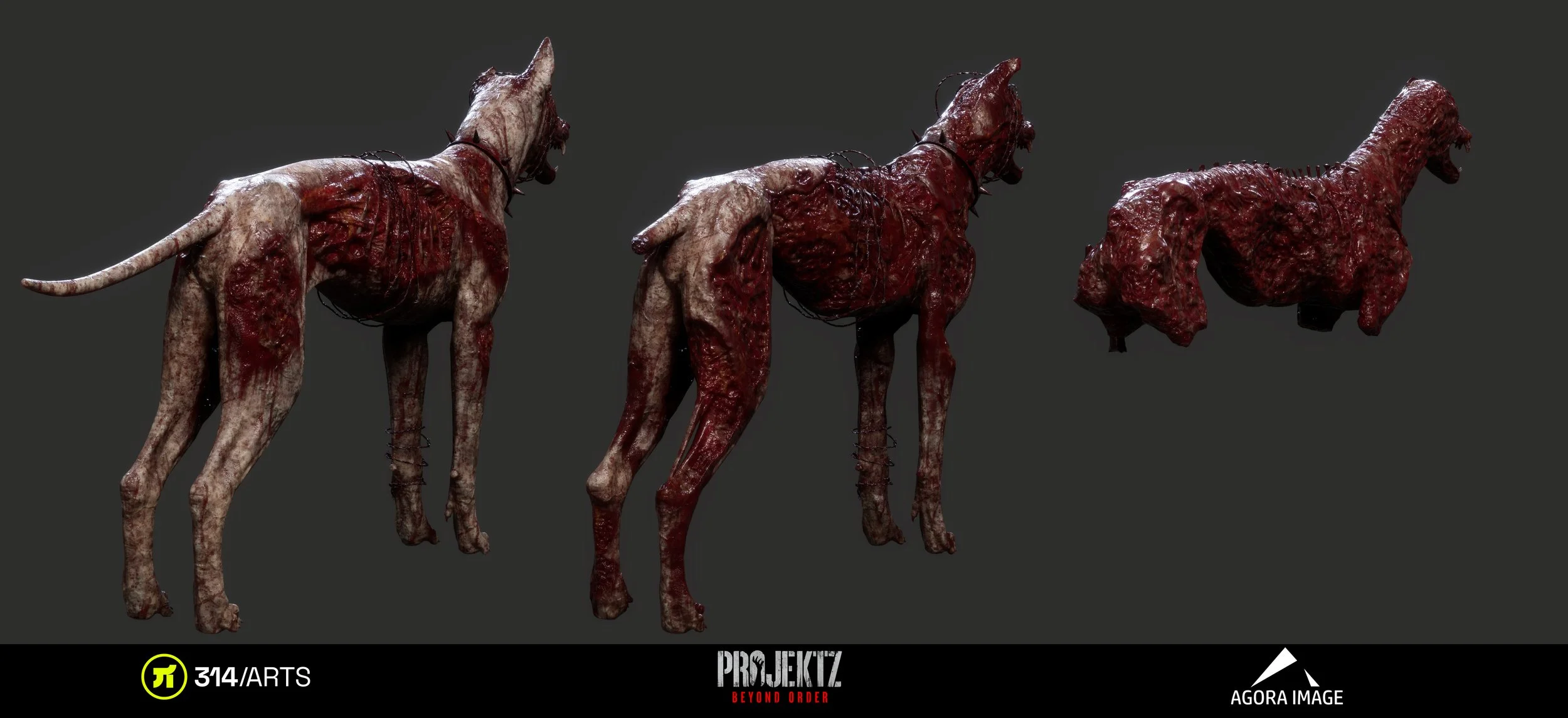 Dog5.jpg