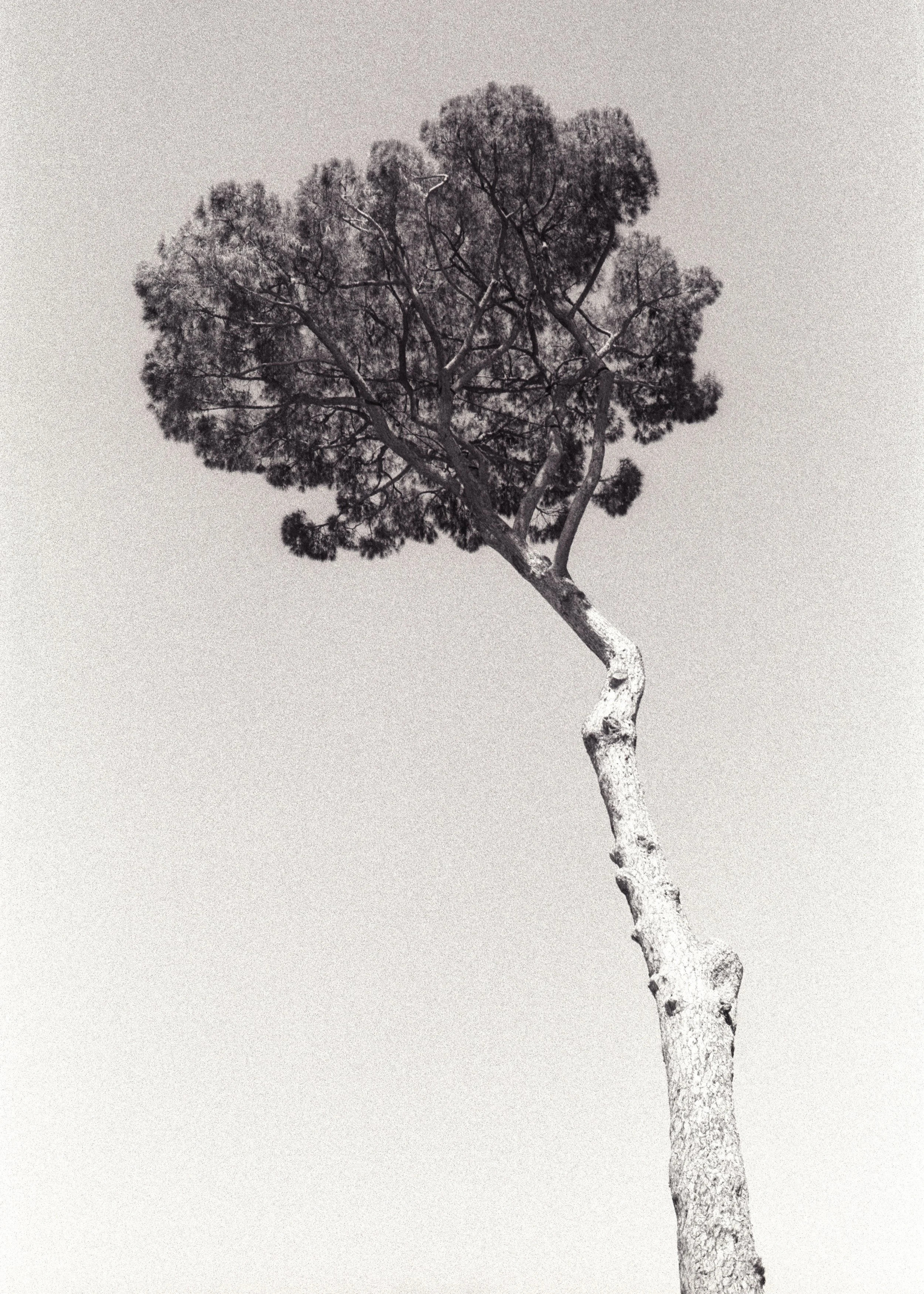 1_Fragment(s) n°1.jpg