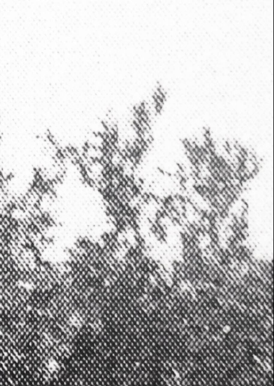 Capture d’écran 2018-04-21 à 15.29.36.png