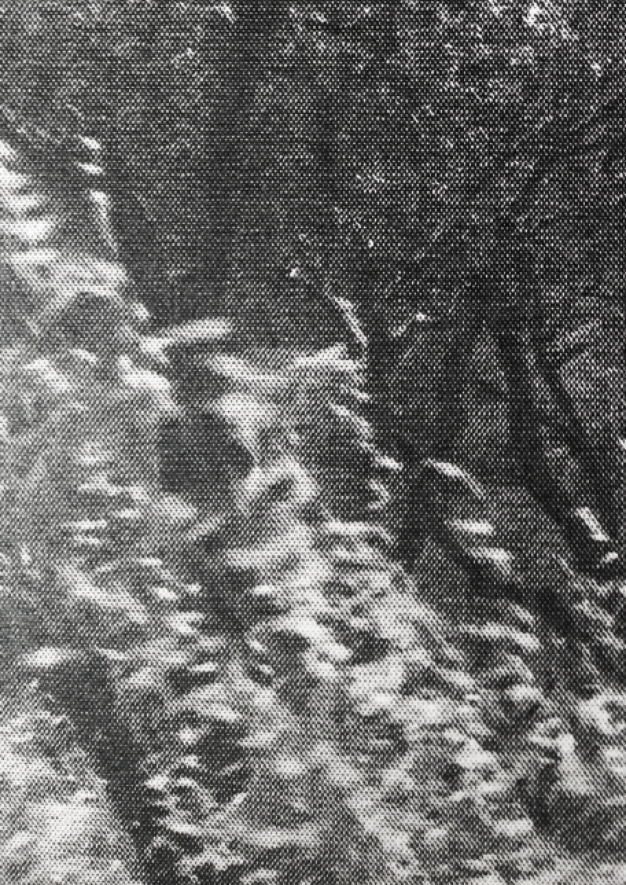 Capture d’écran 2018-04-21 à 15.09.05.png