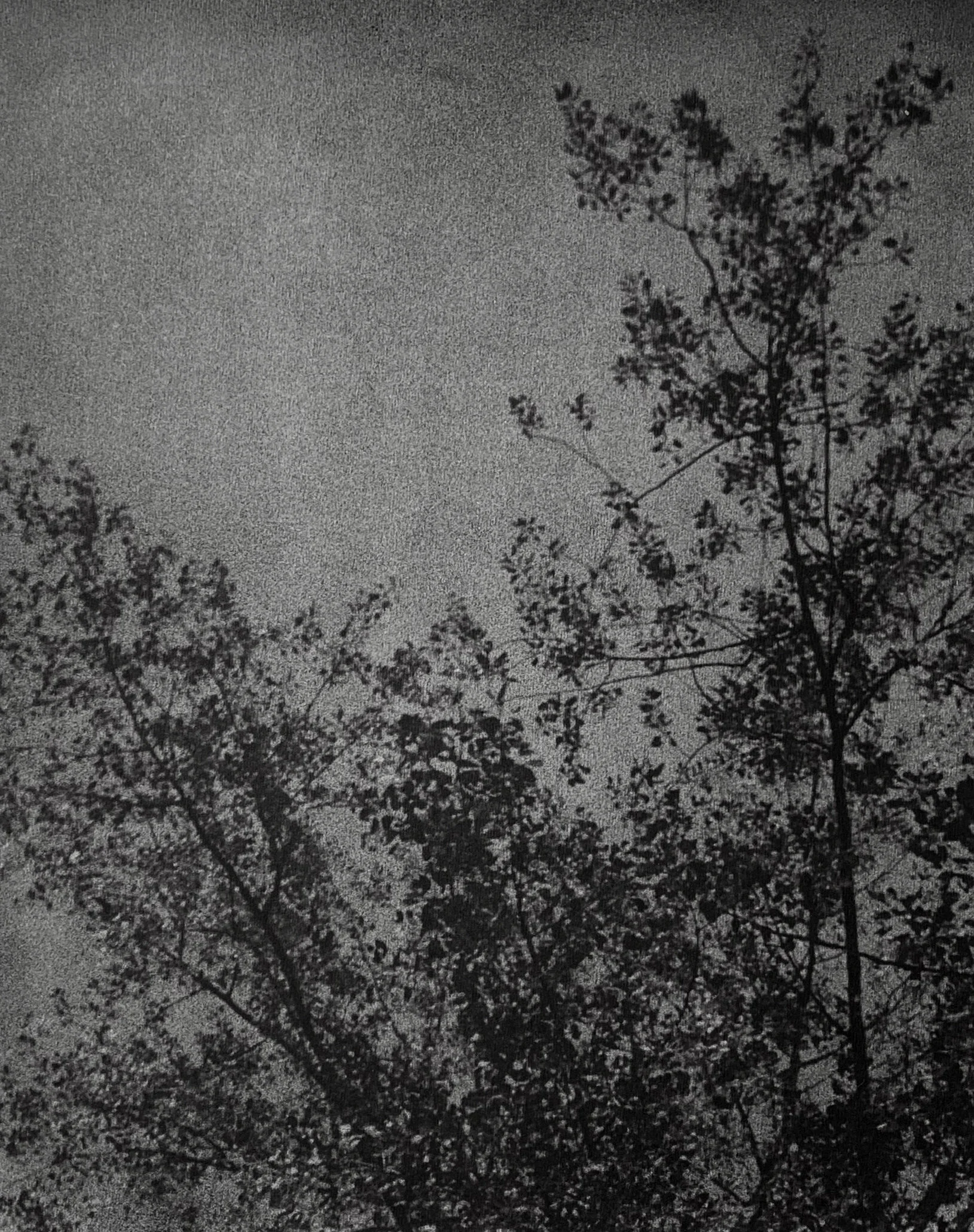 ALas Purwo IV_web.jpg