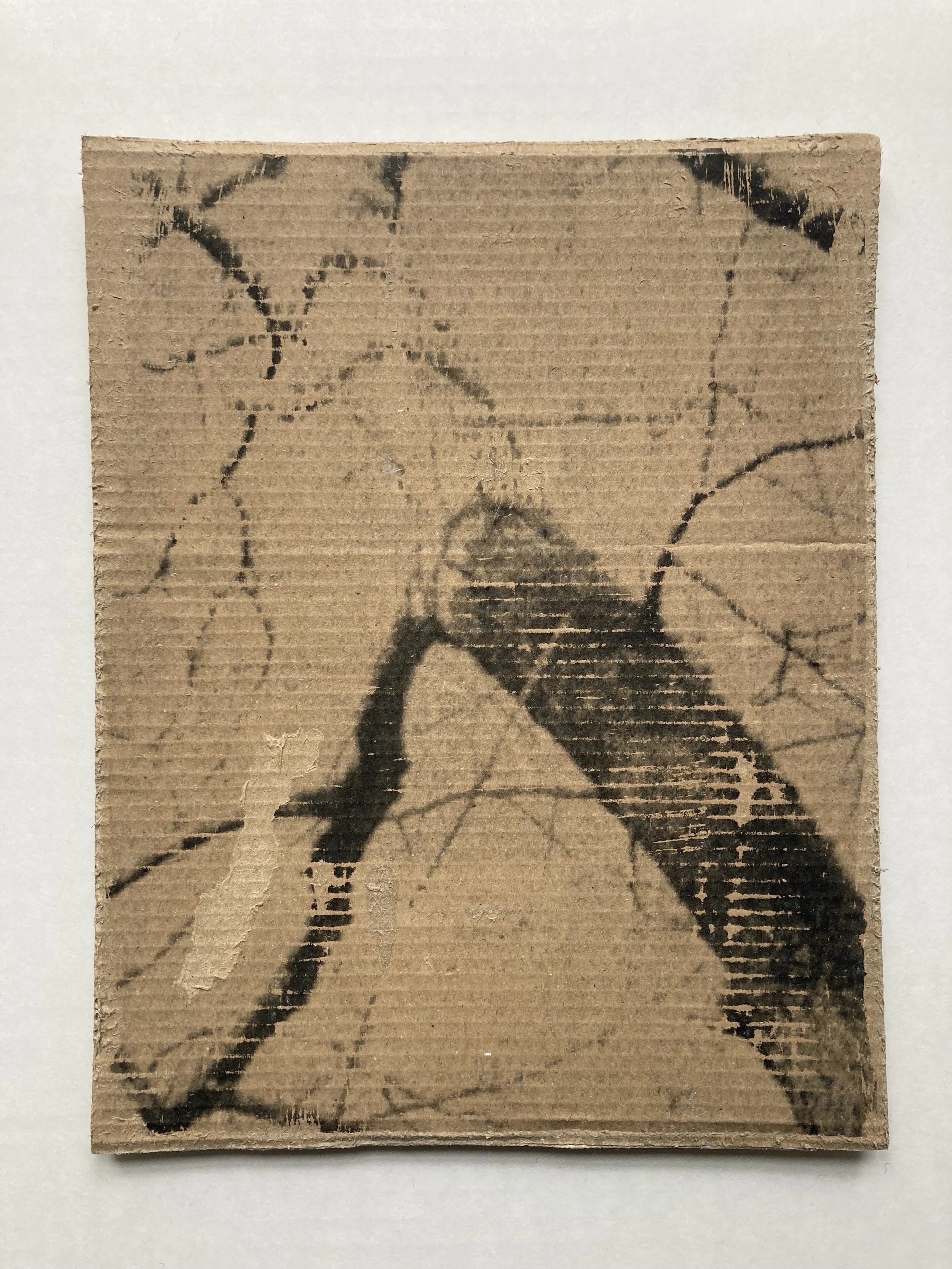 Solastalgia_I_16 copie.JPG