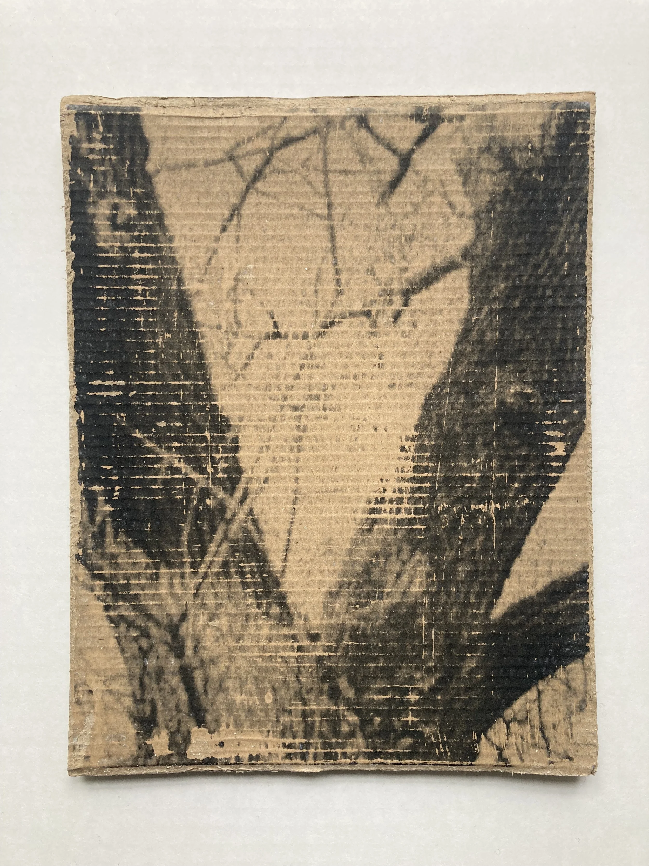 Solastalgia_I_18 copie.JPG