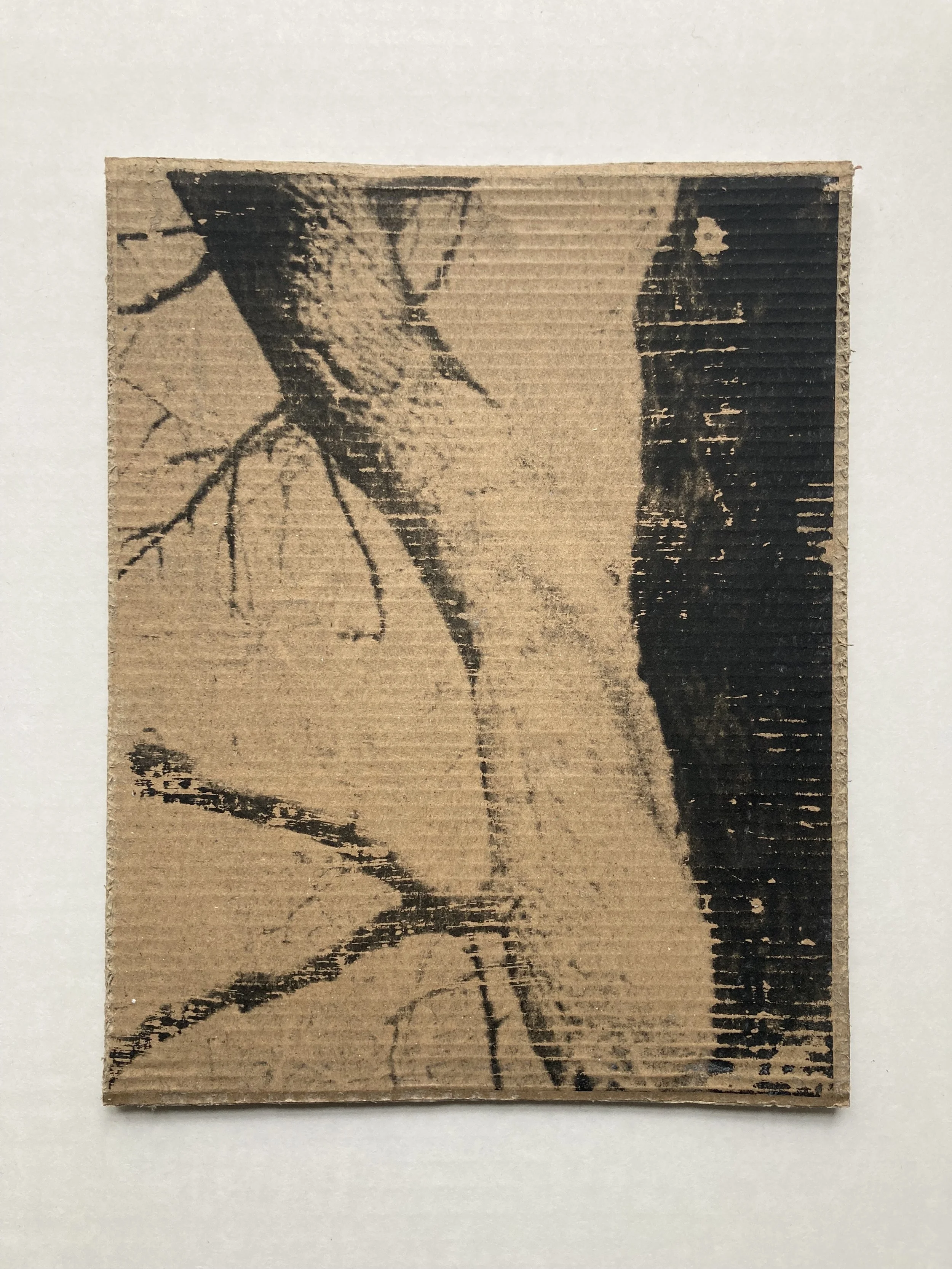 Solastalgia_II_12 copie.JPG