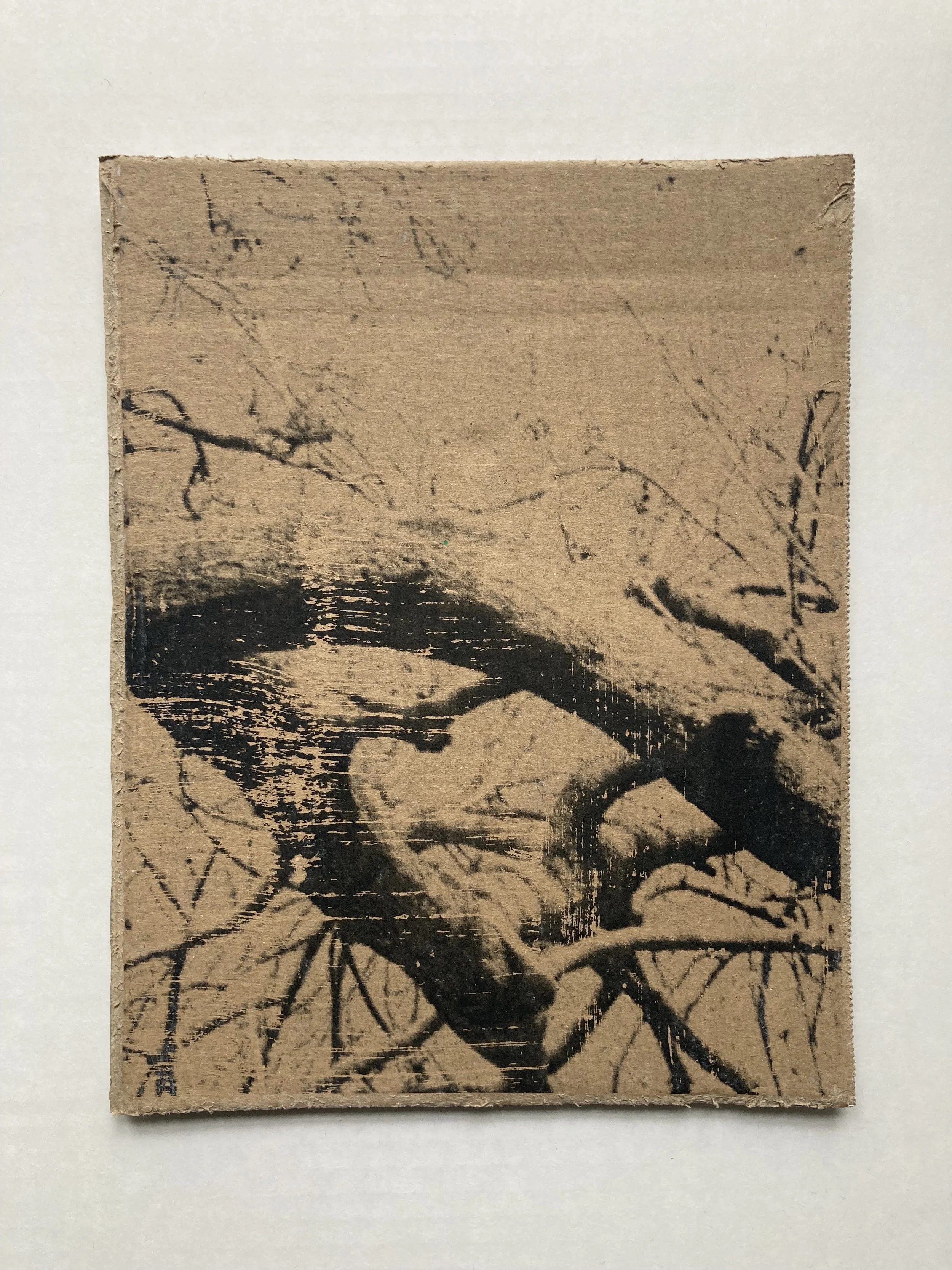 Solastalgia_II_19 copie.JPG