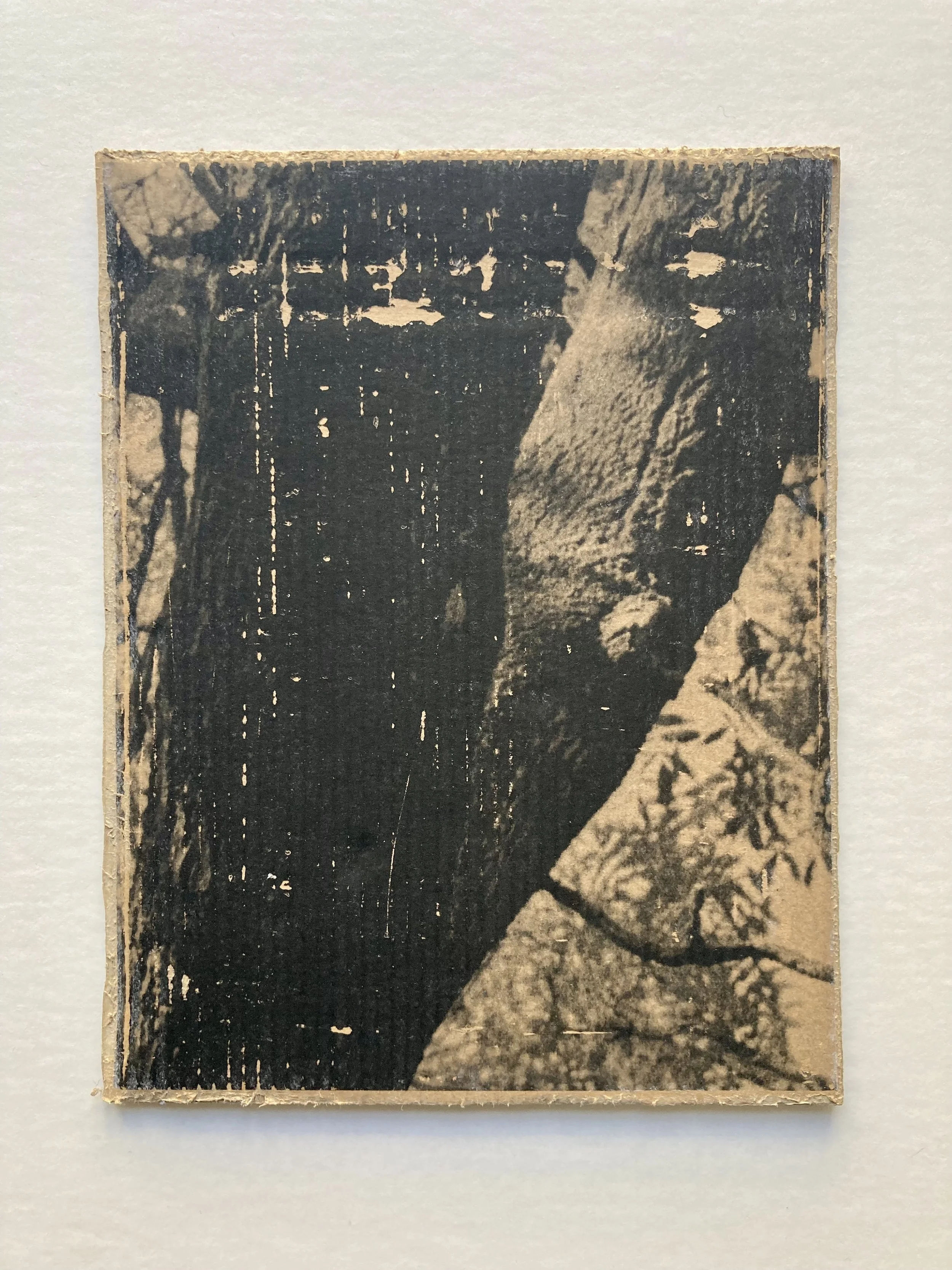 Solastalgia_VI_18 copie.JPG