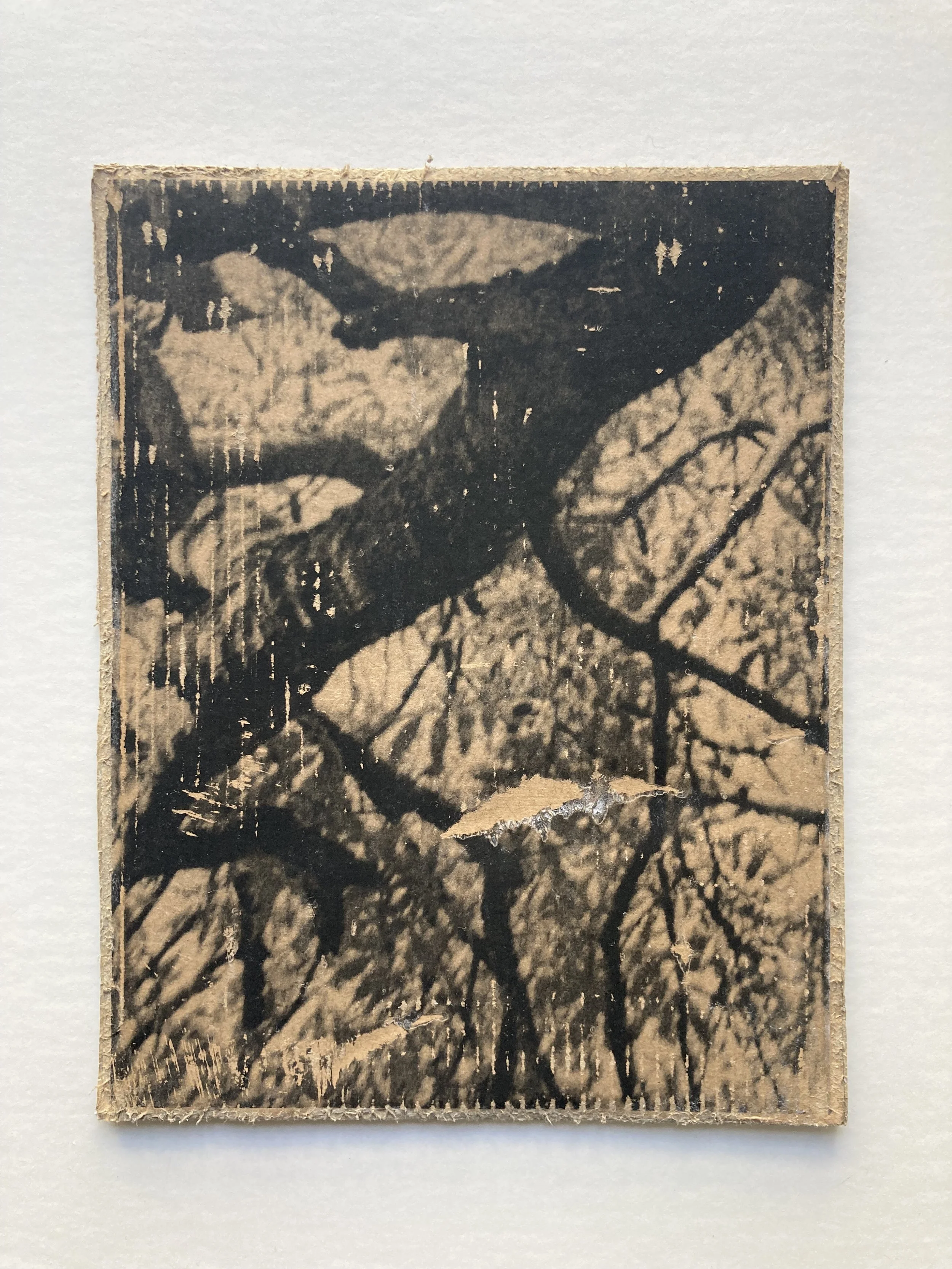 Solastalgia_VI_21 copie.JPG