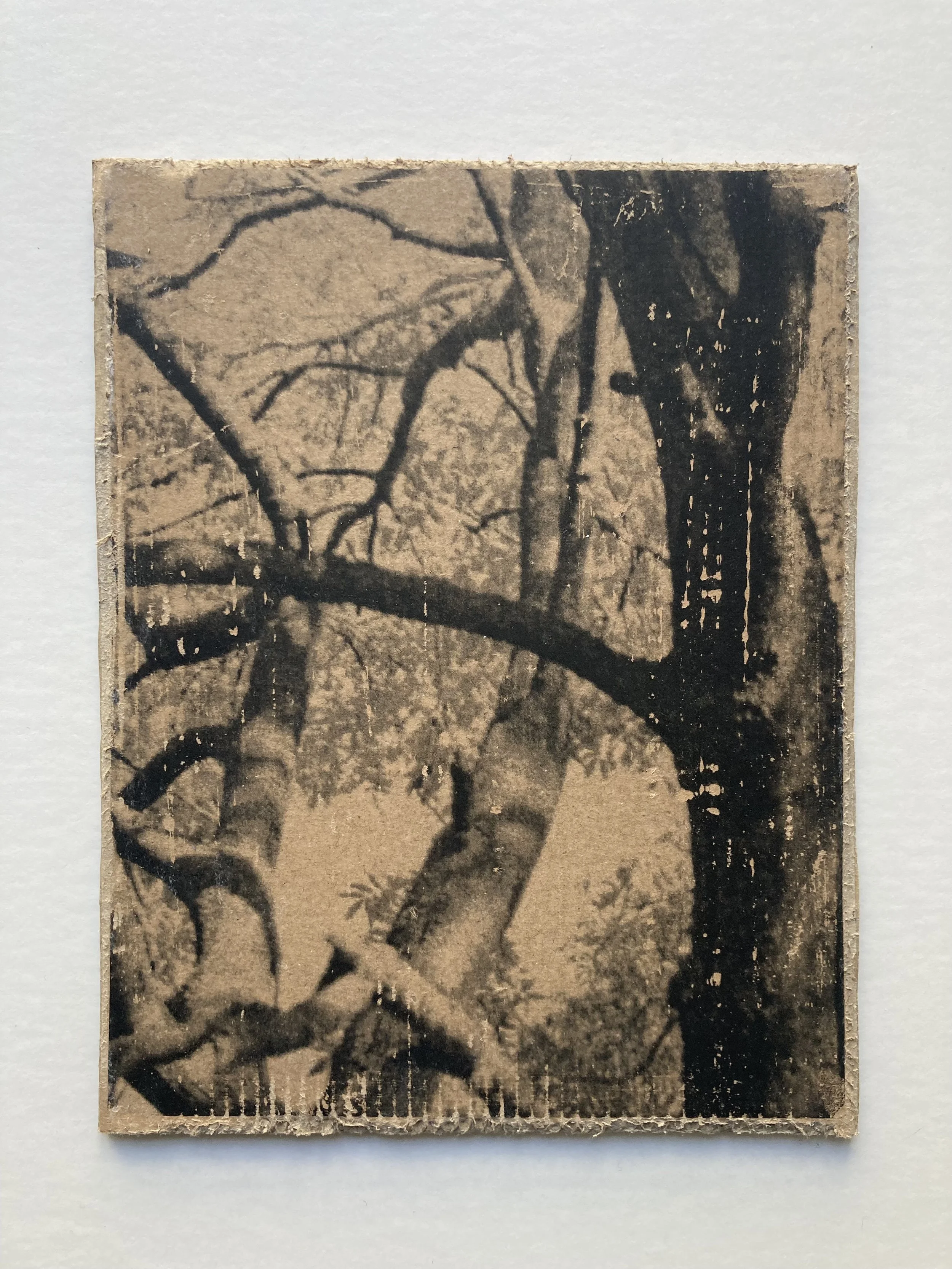 Solastalgia_VII_6 copie.JPG