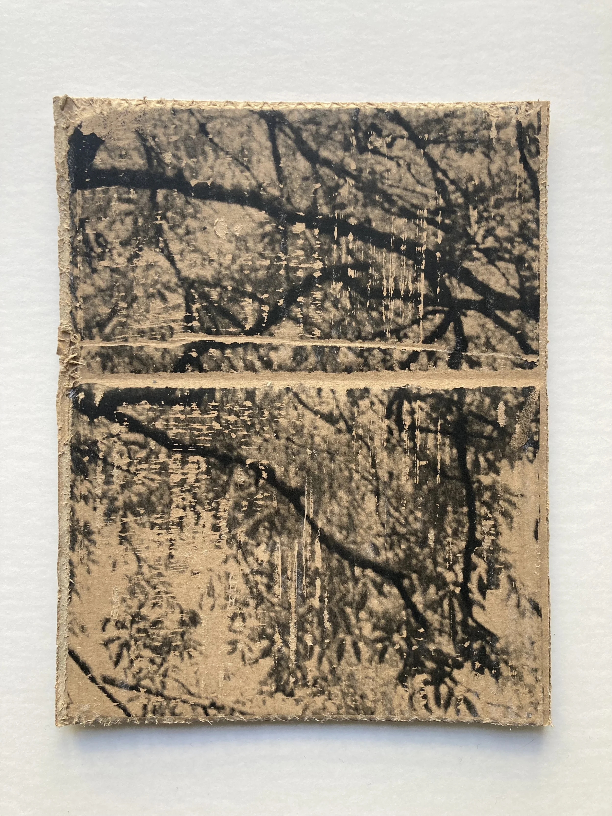 Solastalgia_VII_14 copie.JPG