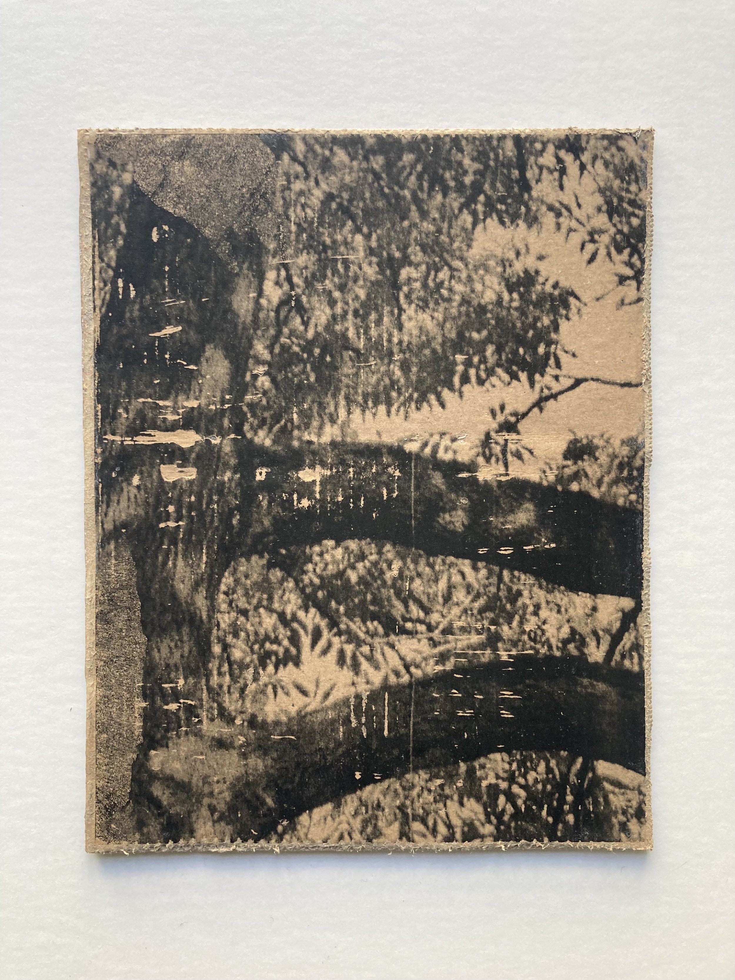 Solastalgia_VII_18 copie.JPG