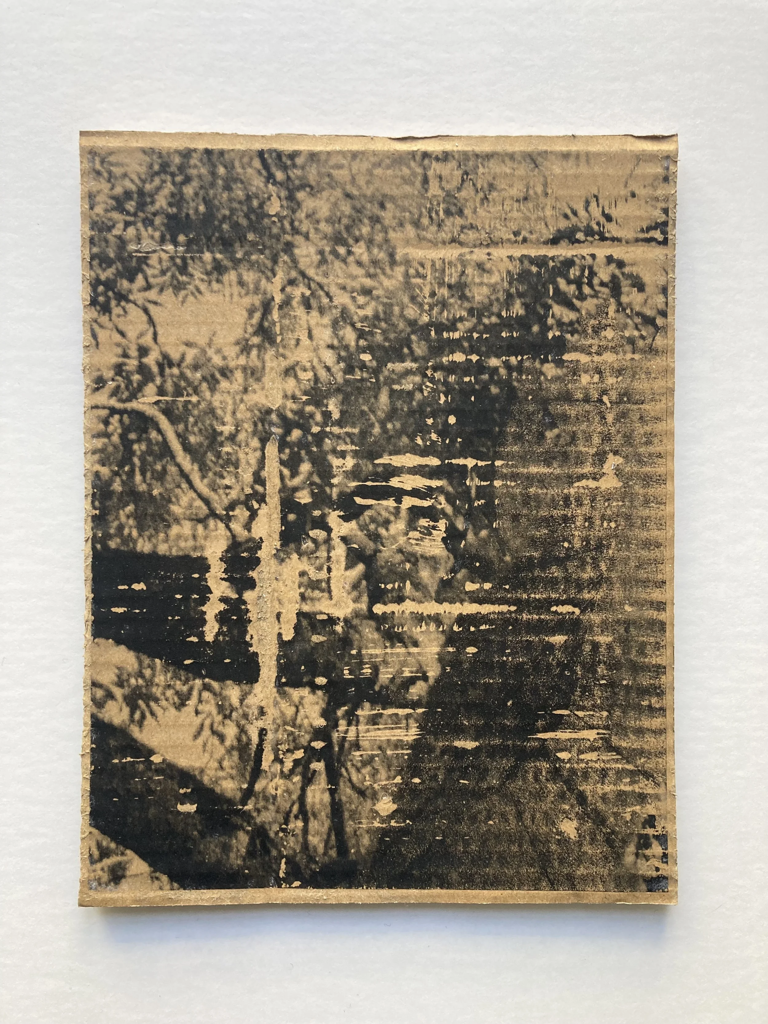 Solastalgia_VII_19 copie.JPG