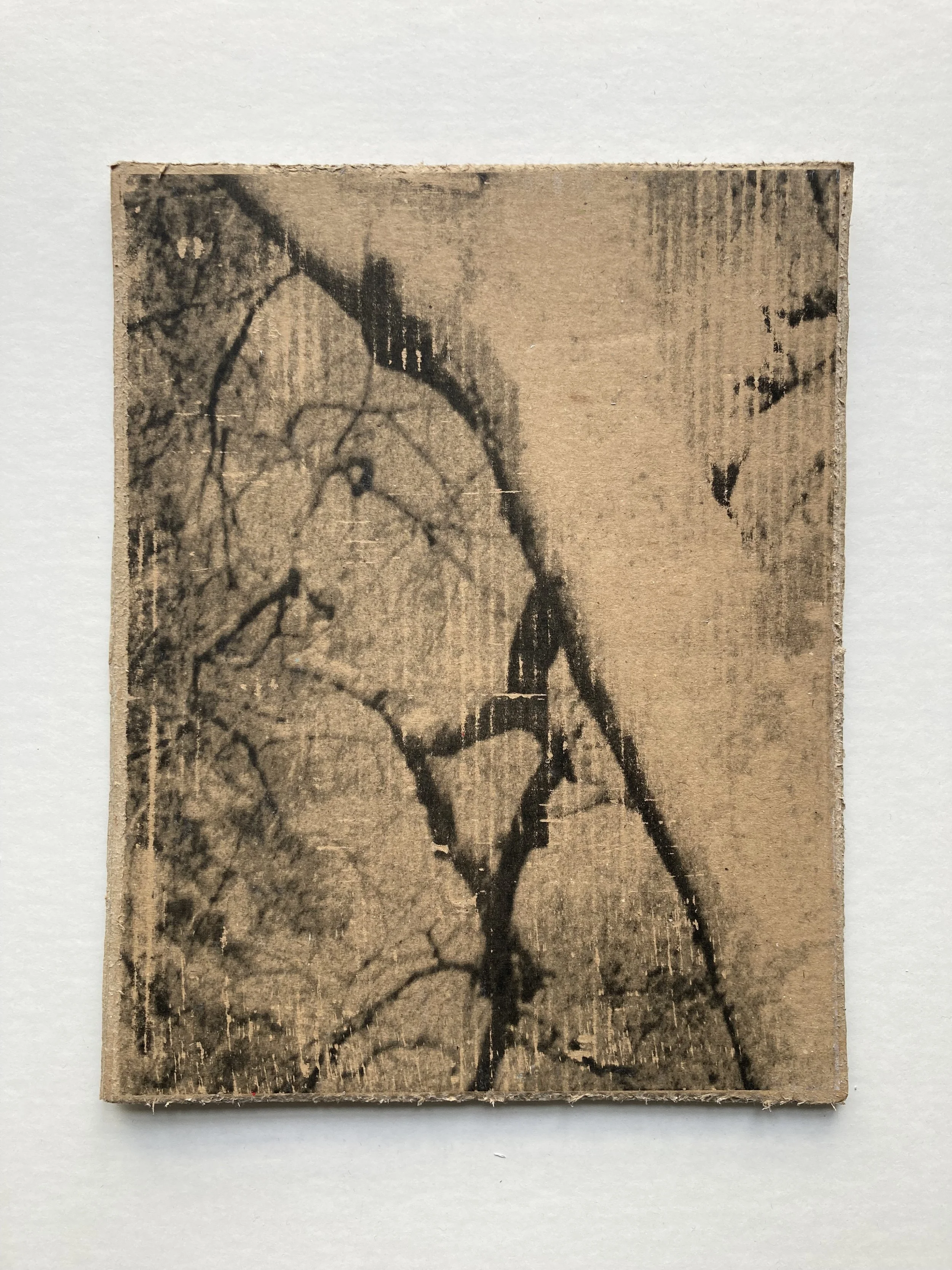 Solastalgia_VIII_12 copie.JPG