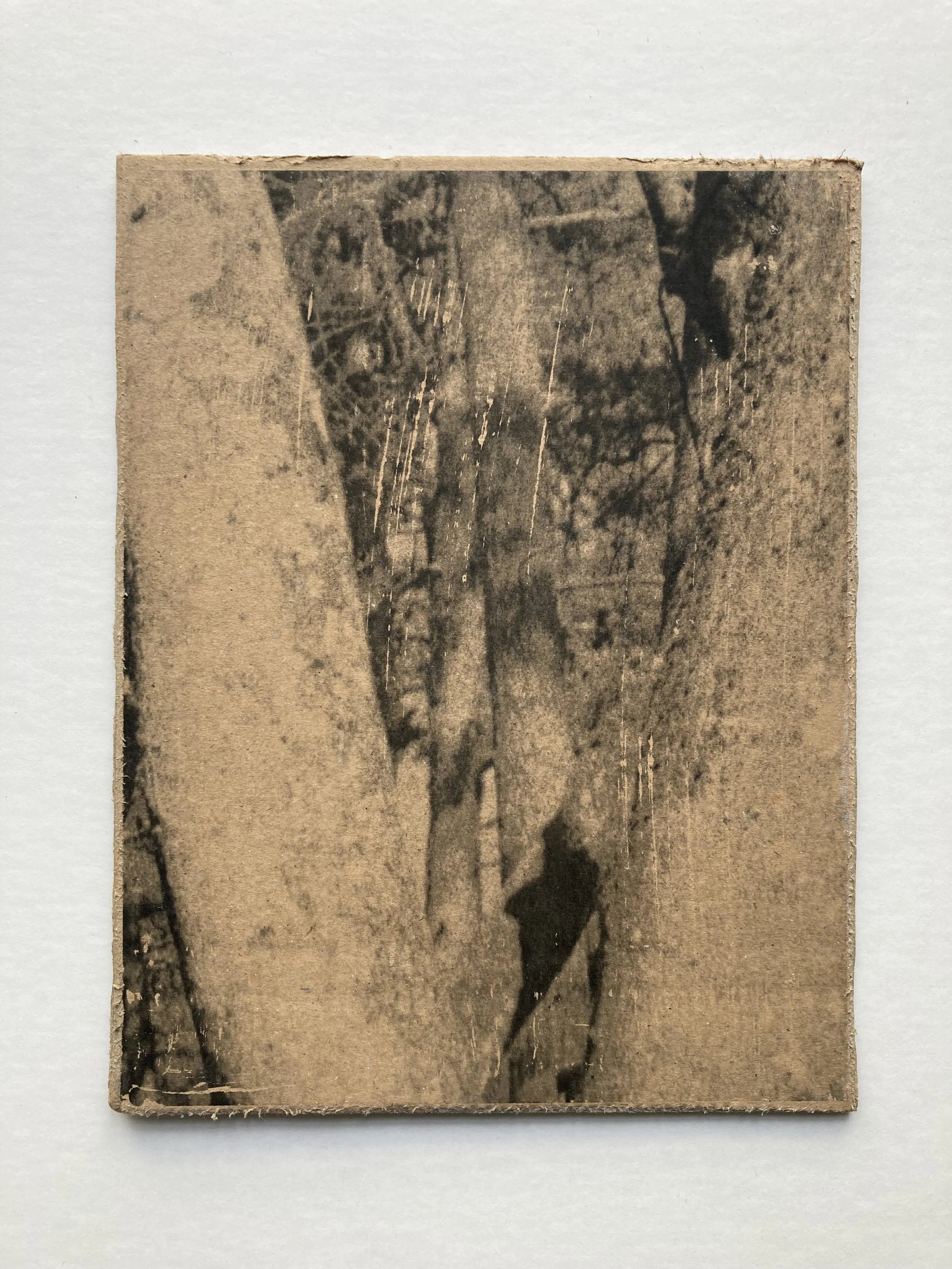 Solastalgia_VIII_18 copie.JPG