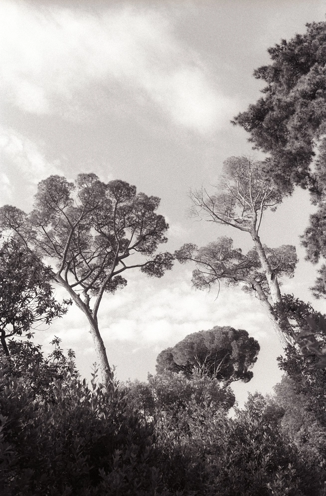 Fragments_6_site.jpg