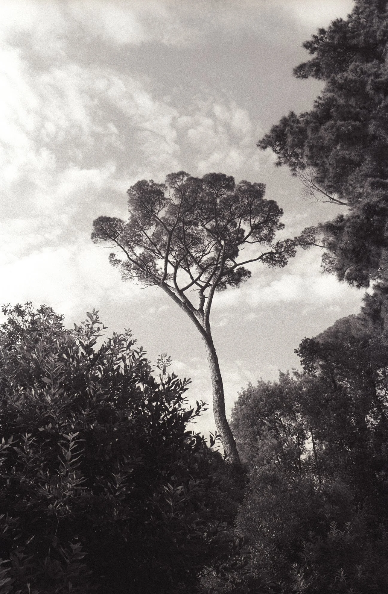 Fragments_7_site.jpg