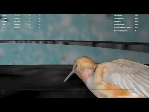 Coming Home Playblast Part 1