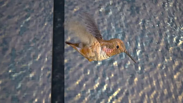 Coming Home Senior Project