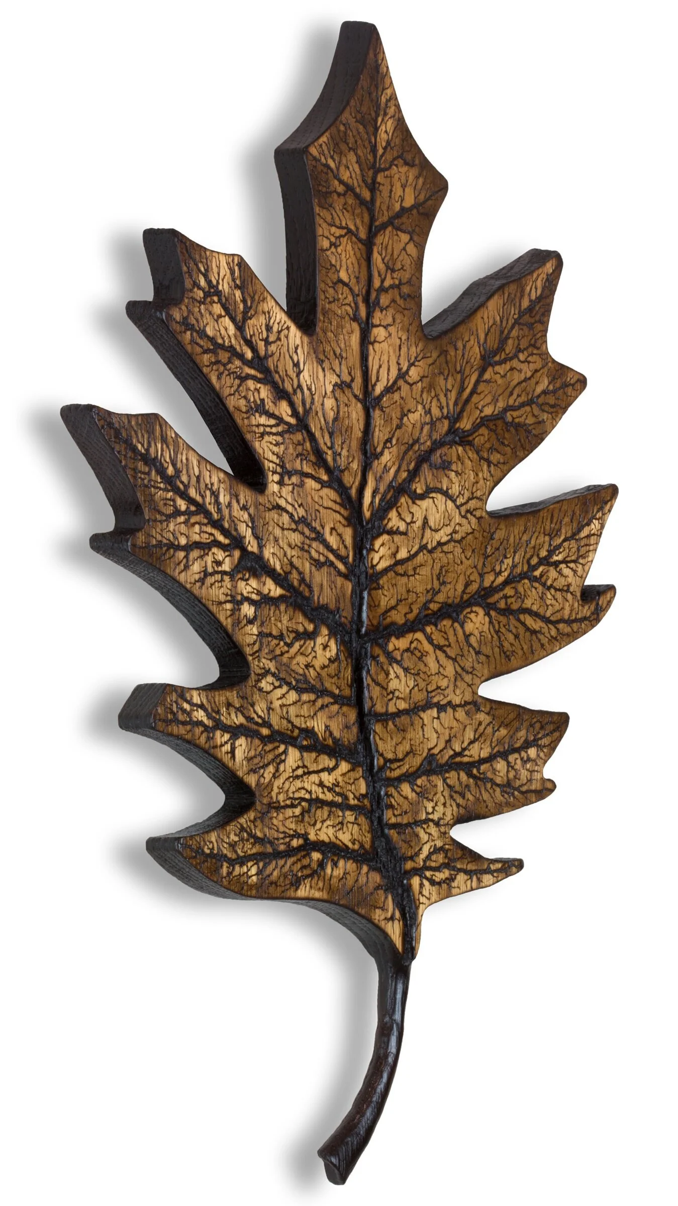 Andrew+Wilson+-+Red+Oak+Leaf.jpg