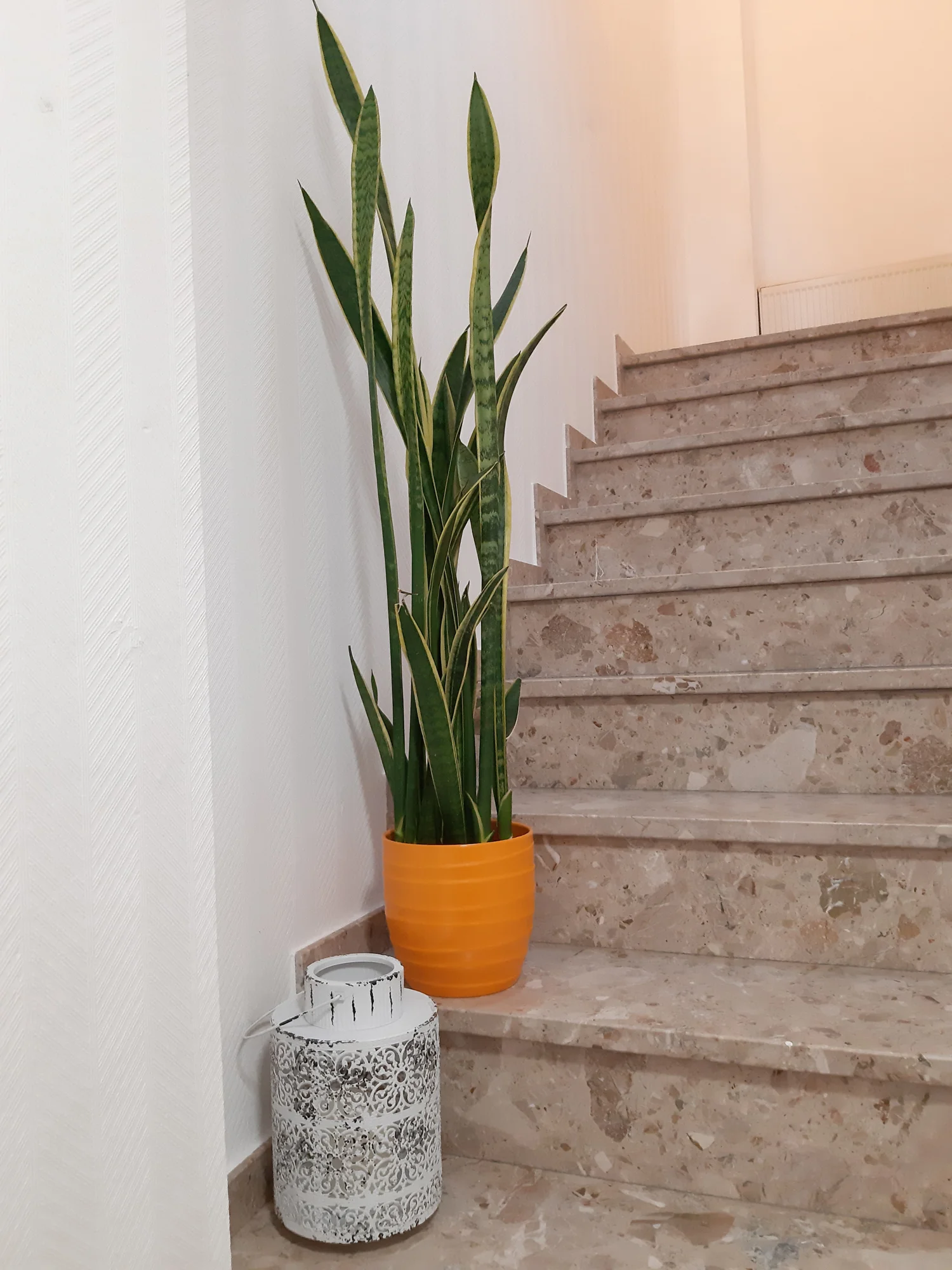 17-Bogenhanf-Treppe.jpg