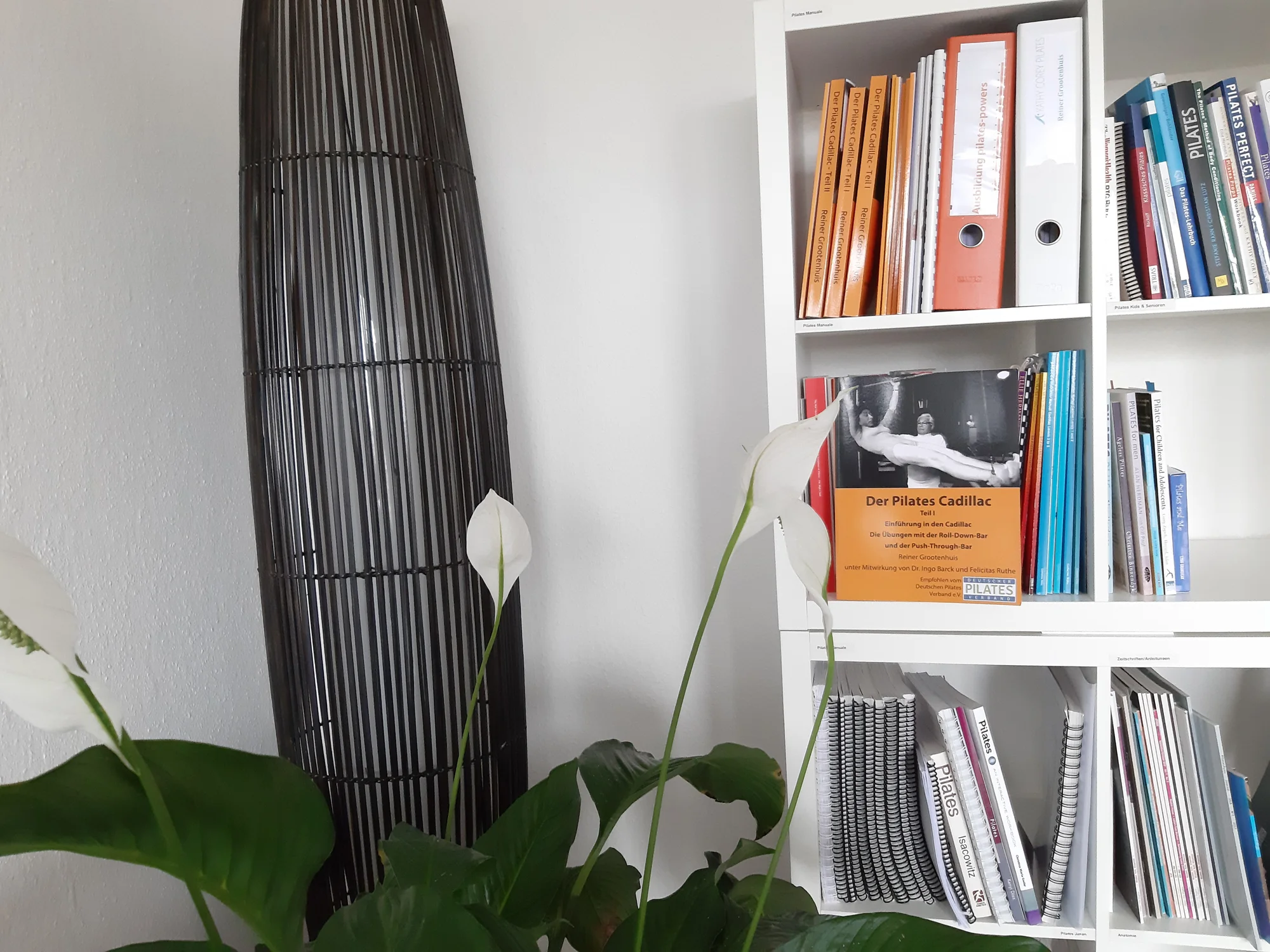 Einblatt in normalem Topf in unserer Pilates-Bibliothek