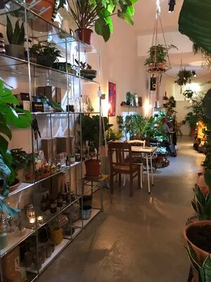Pflanzen Café entdeckt