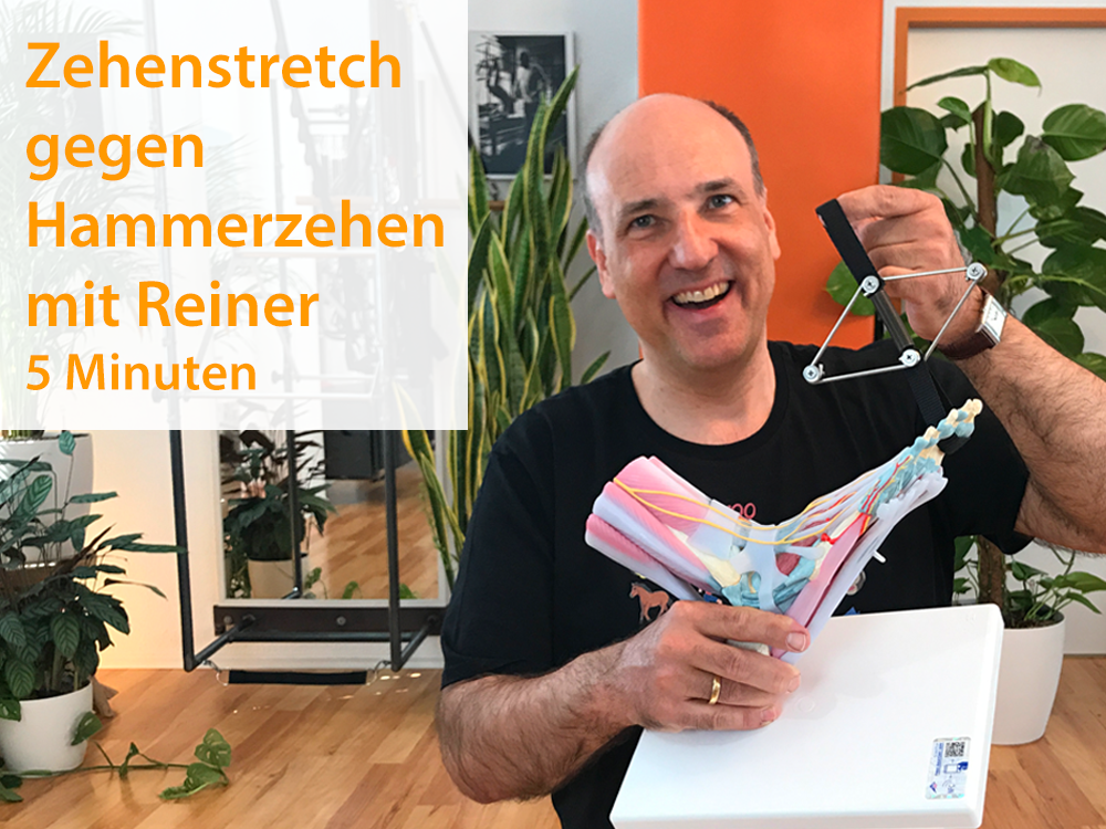 5. Zehenstretch gegen Hammerzehen - Reiner (5 Minuten) Deine Zehen sehen so aus, als wollten sie etwas festkrallen? Zeit sie mal wieder richtig zu dehnen. Hier lernst Du wie Du mit einem Toe-Corrector, einem Einmachgummi oder einem Freundschaftsbänd…