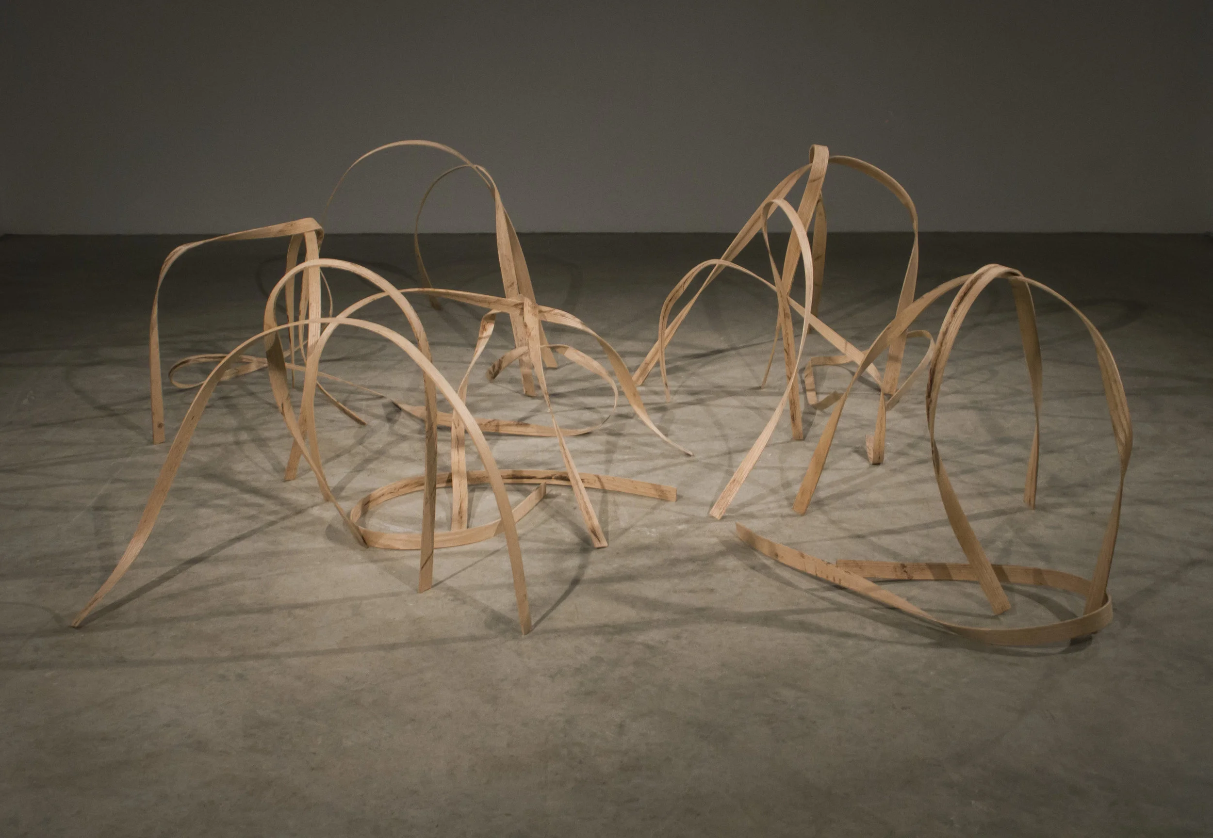 Malleable Bodies